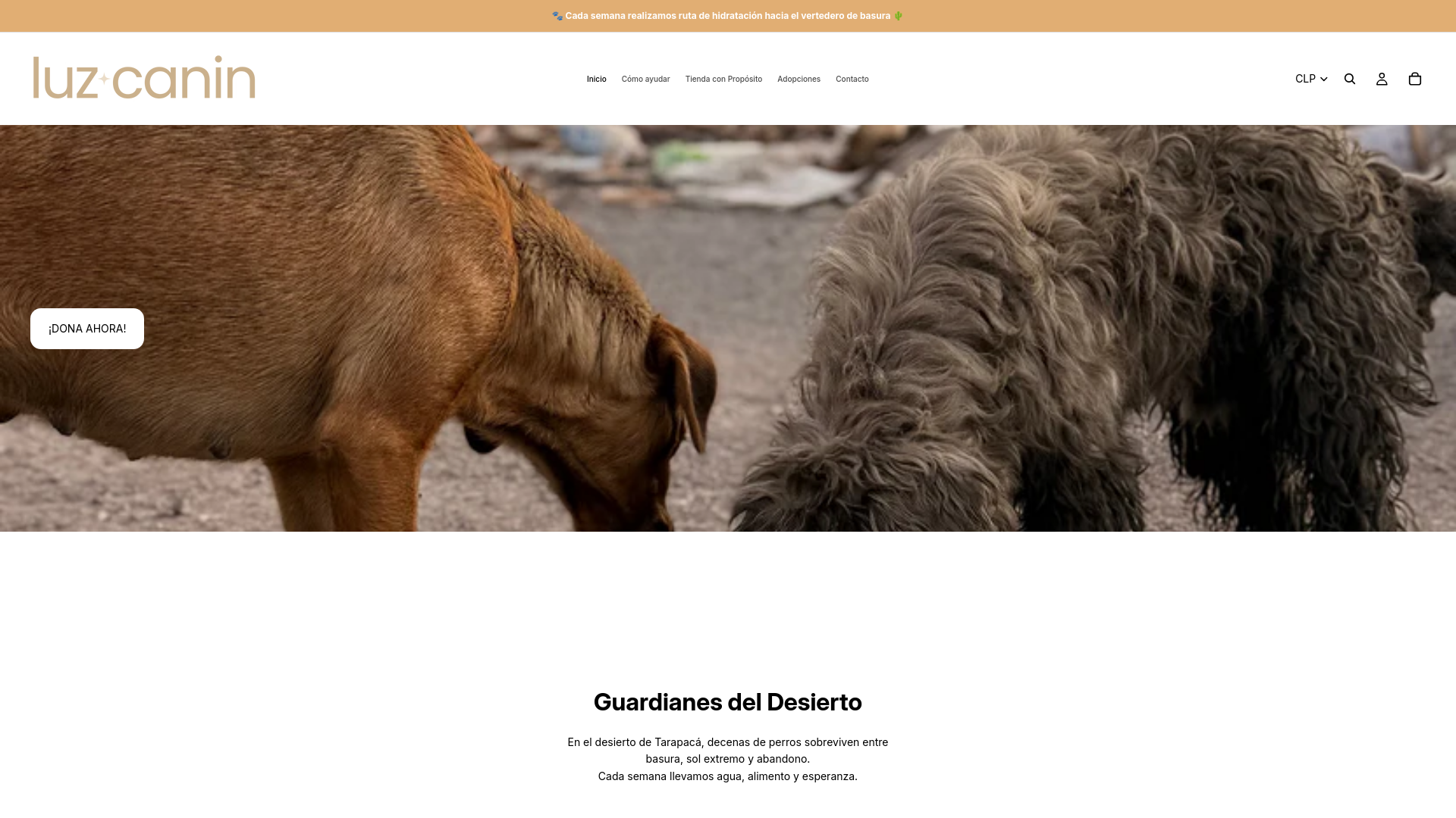 website screenshot of https://luzcanin.com/