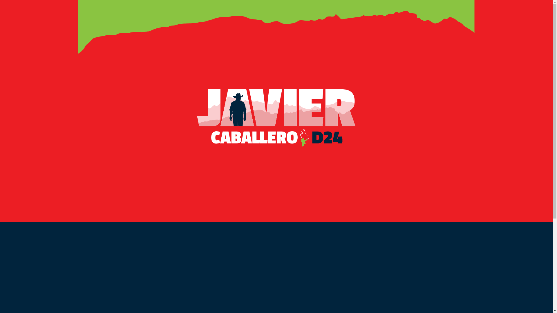 website screenshot of https://javiercaballerogaona.com/