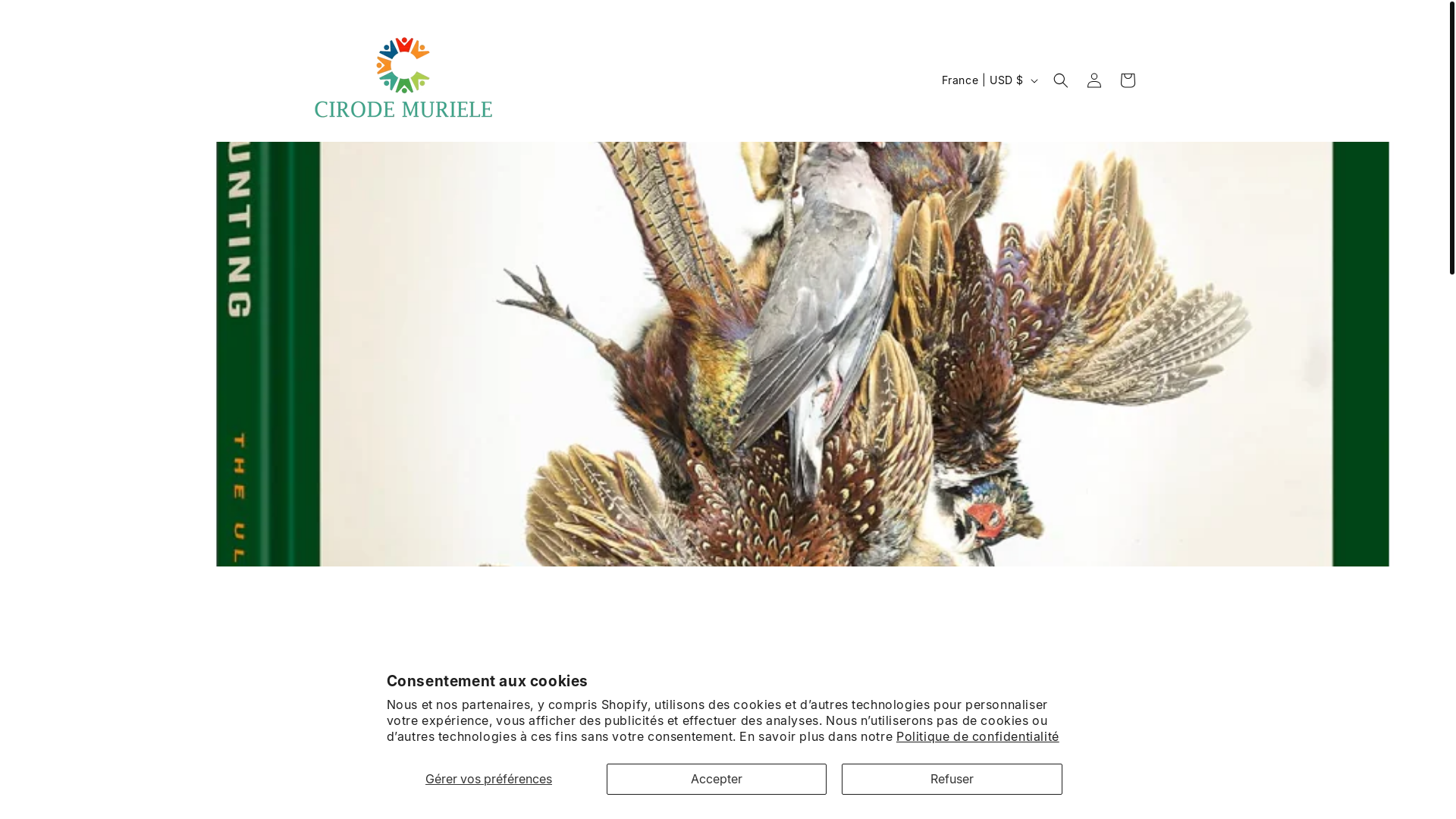 website screenshot of https://karenbrina.com/