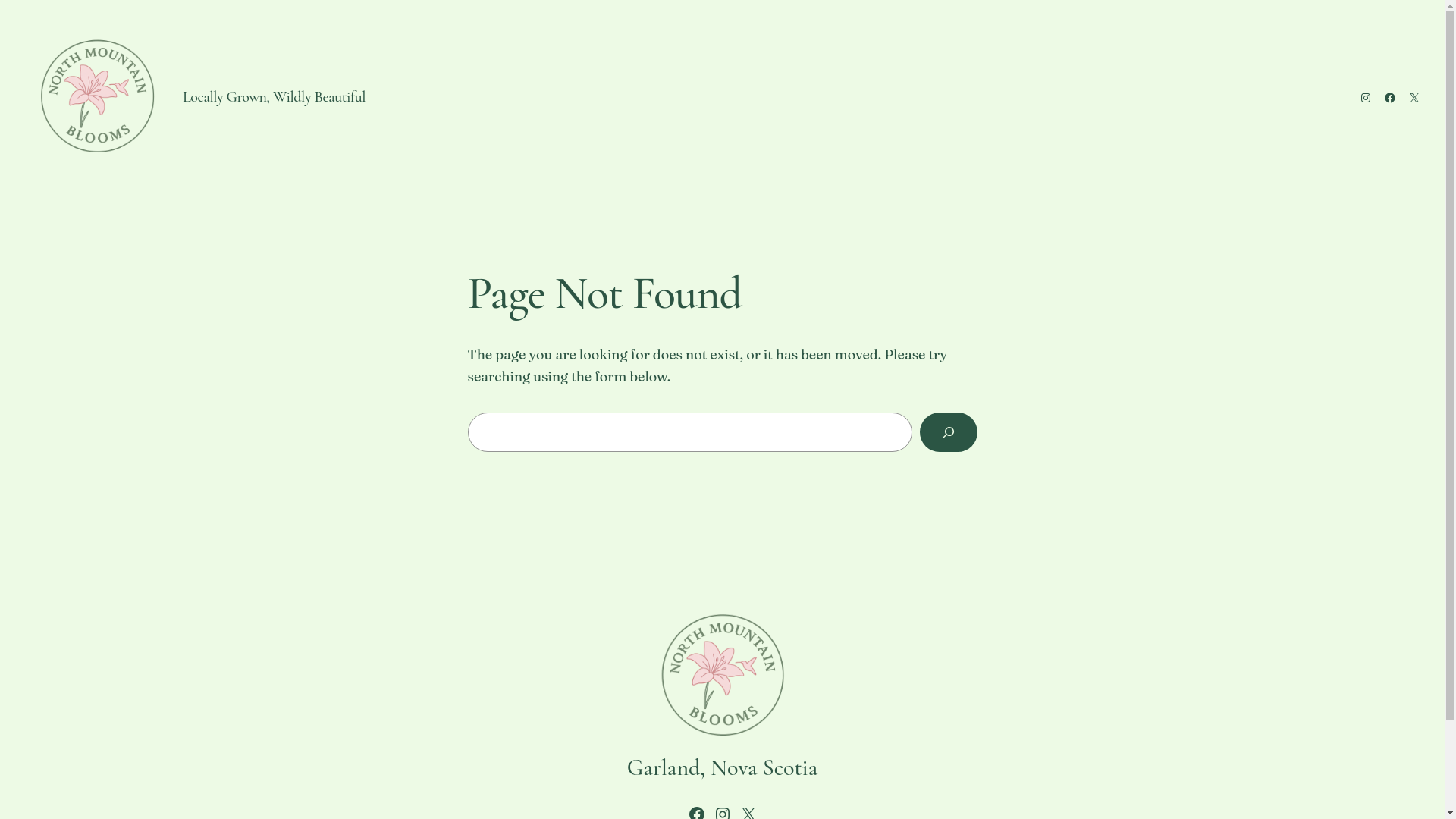 website screenshot of https://northmountainblooms.com/