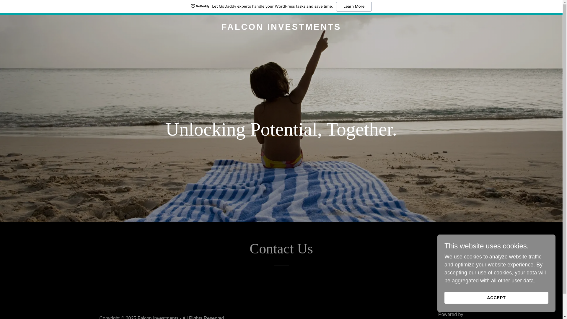 website screenshot of https://falconinvesments.com/