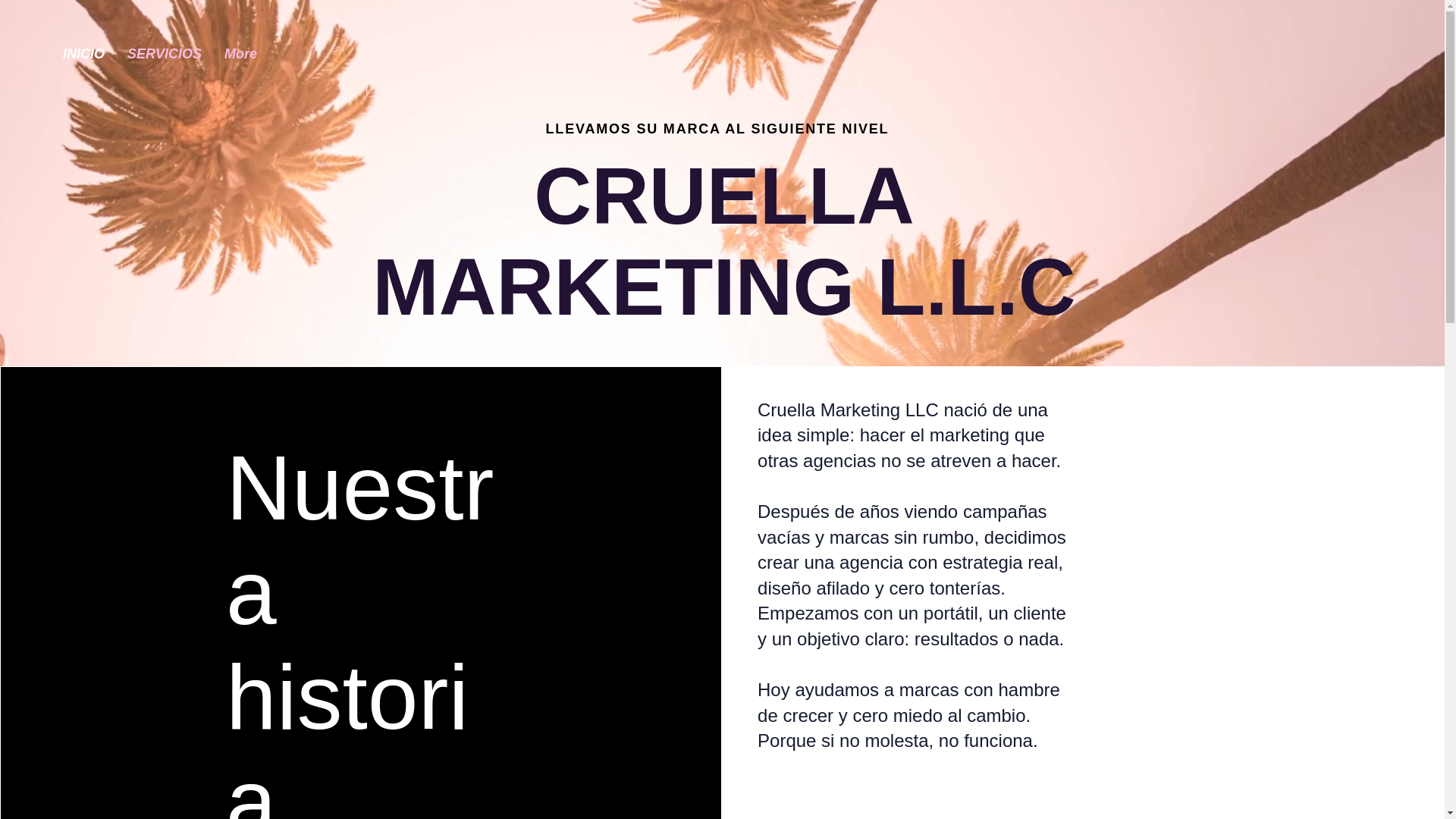 website screenshot of https://cruellamarketingllc.com/