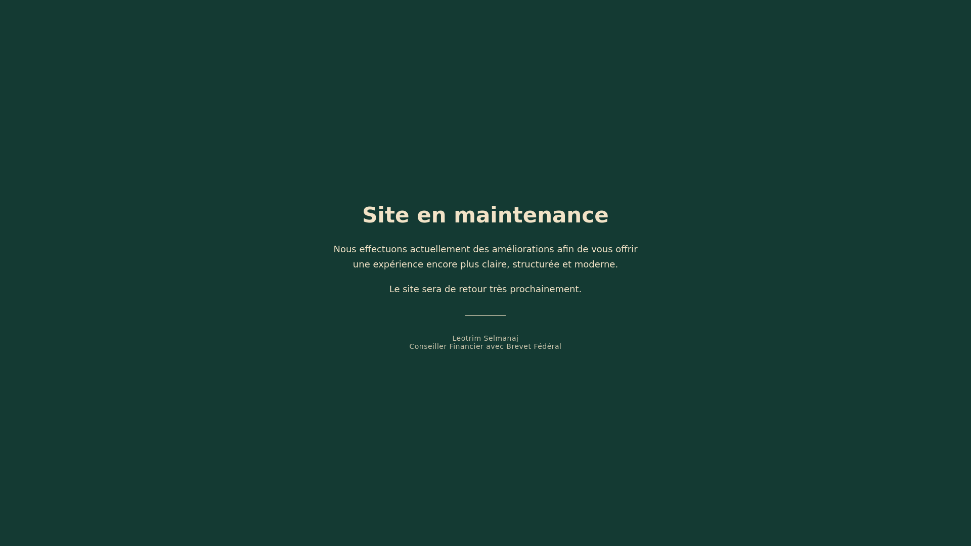 website screenshot of https://leotrimselmanaj.ch/