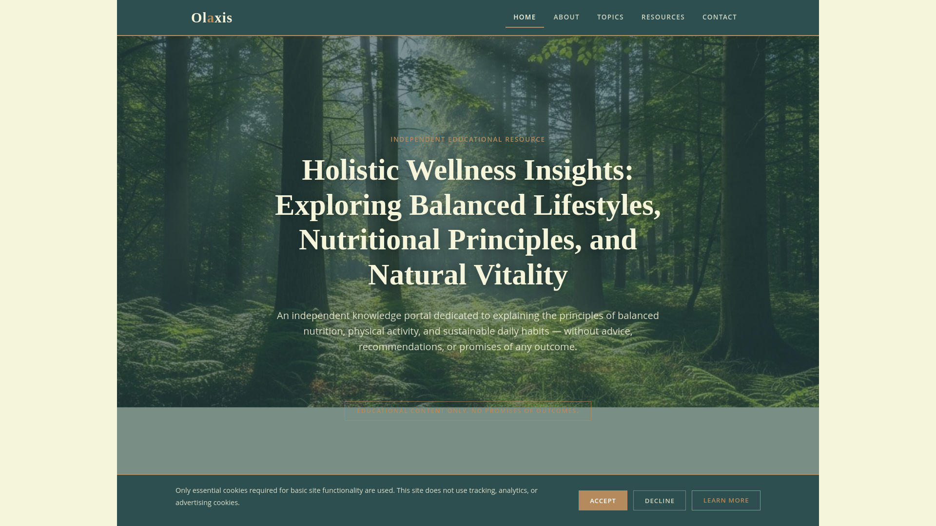 website screenshot of https://olaxisbf.info/