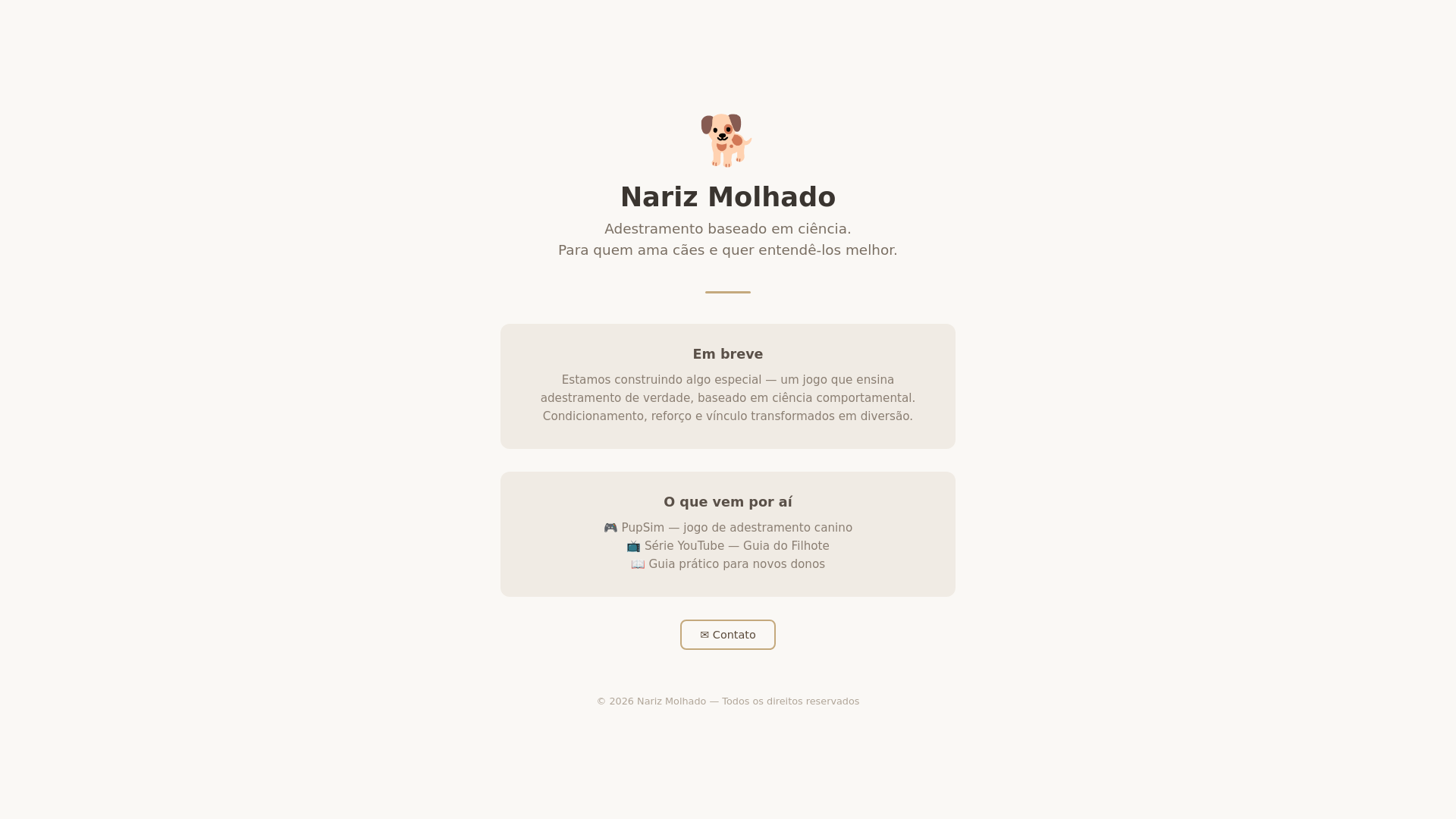 website screenshot of https://narizmolhado.pages.dev/