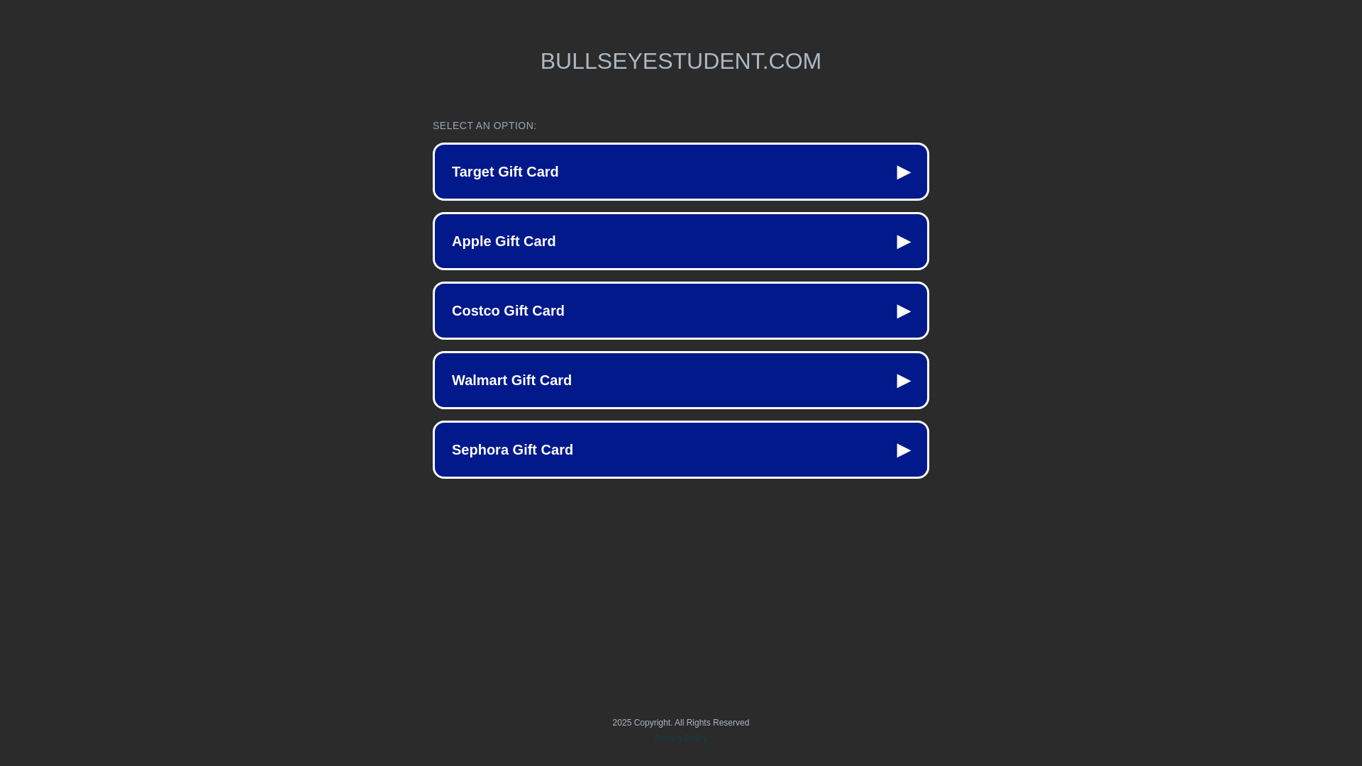 website screenshot of https://bullseyestudent.com