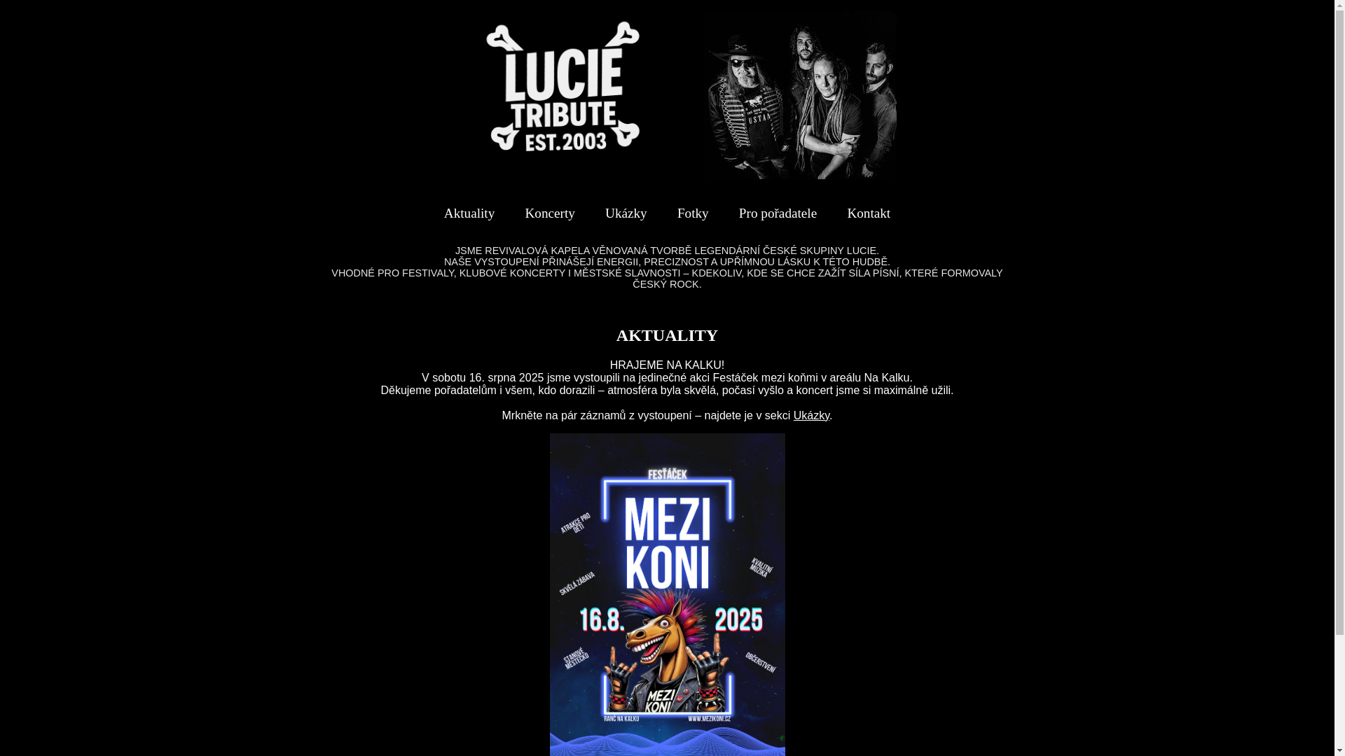 website screenshot of https://lucietribute2003.cz/