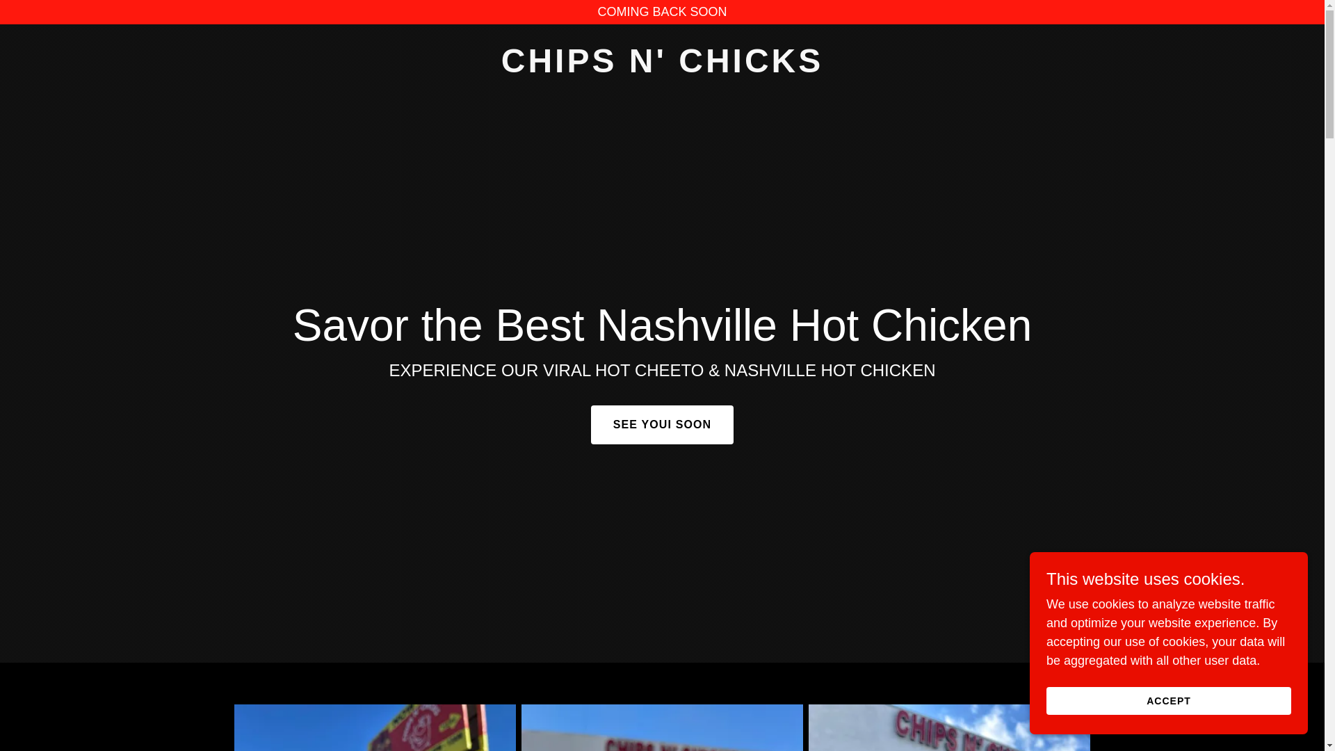 website screenshot of https://chipsnchicks.us/