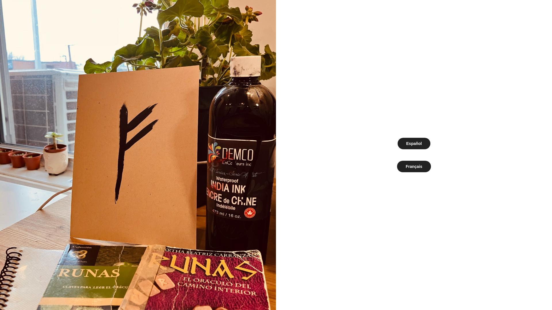 website screenshot of https://vlovarunas.com/