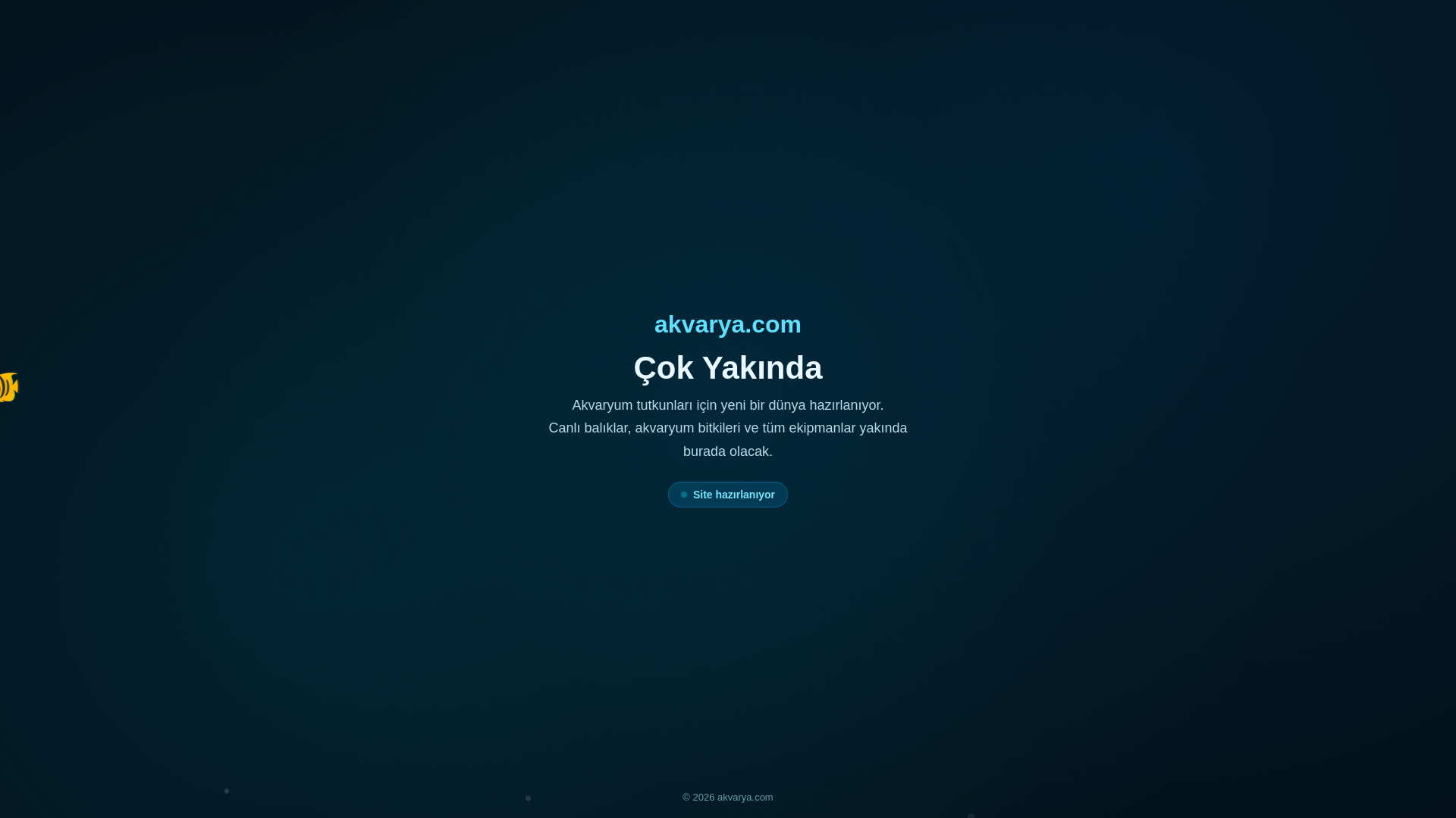 website screenshot of https://akvarya.com/