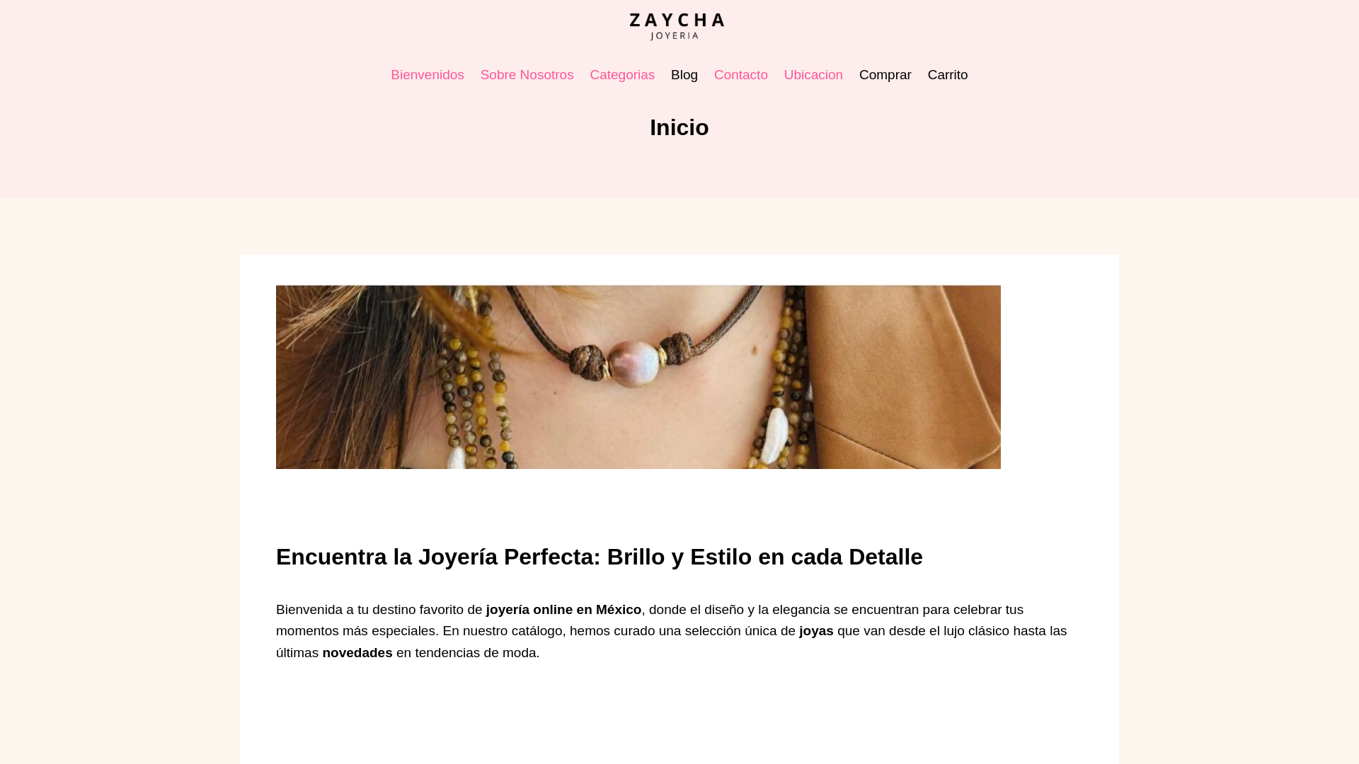 website screenshot of https://shalomsantos.com/