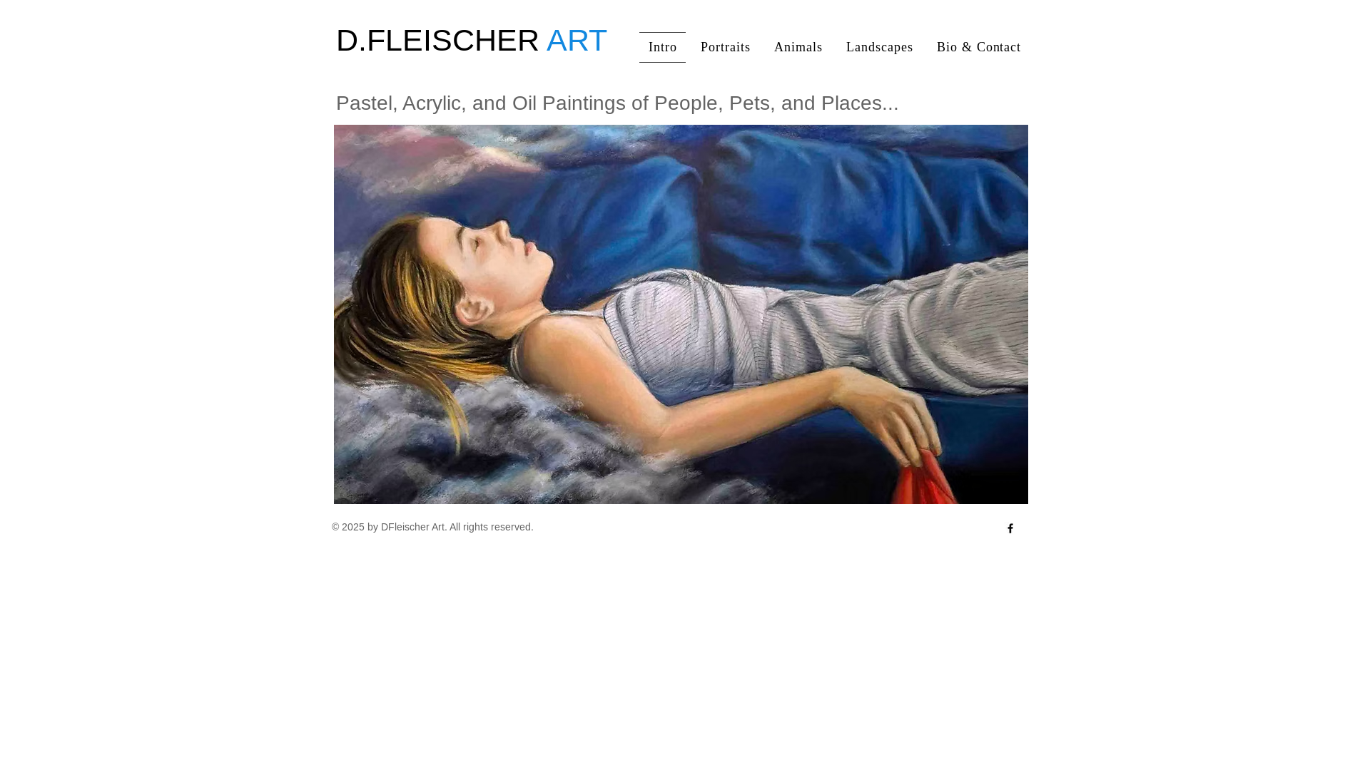website screenshot of https://dfleischer-art.com/