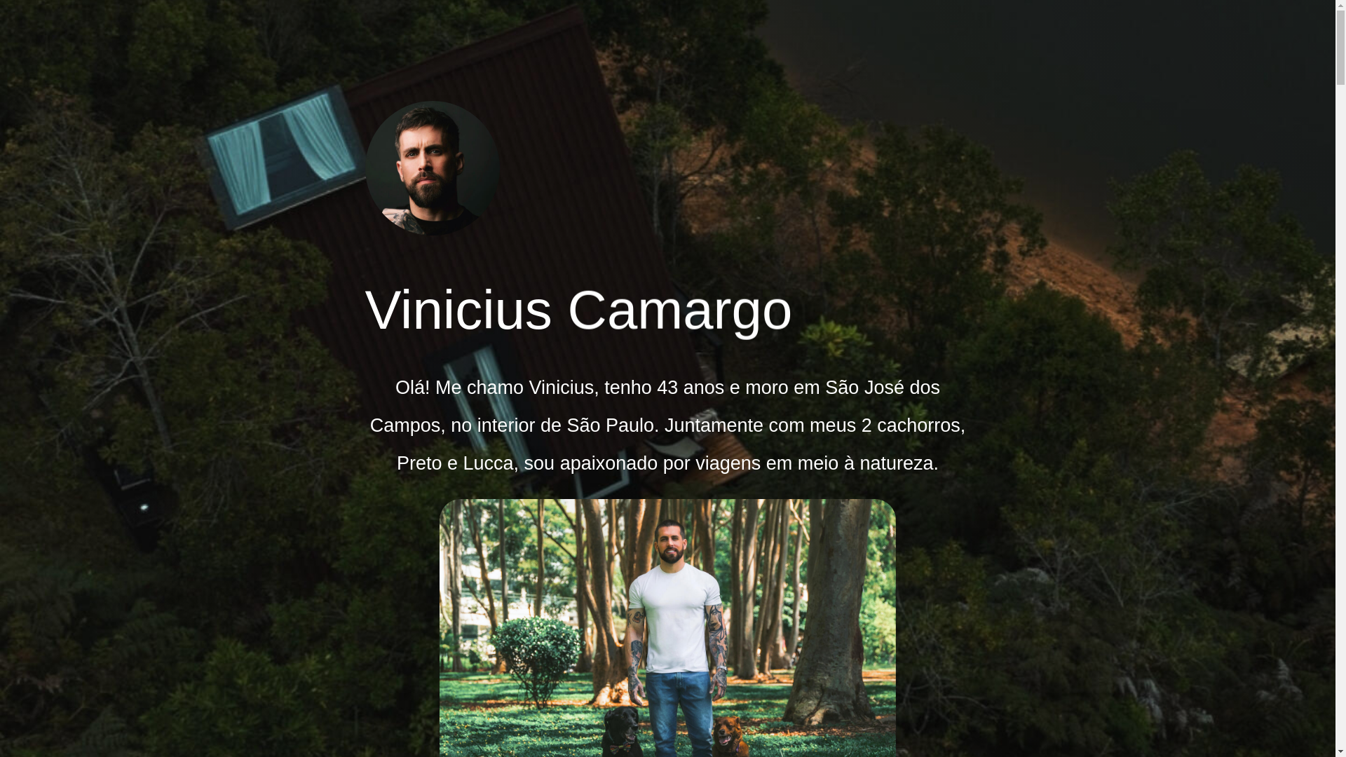 website screenshot of https://thevinicamargo.com.br/