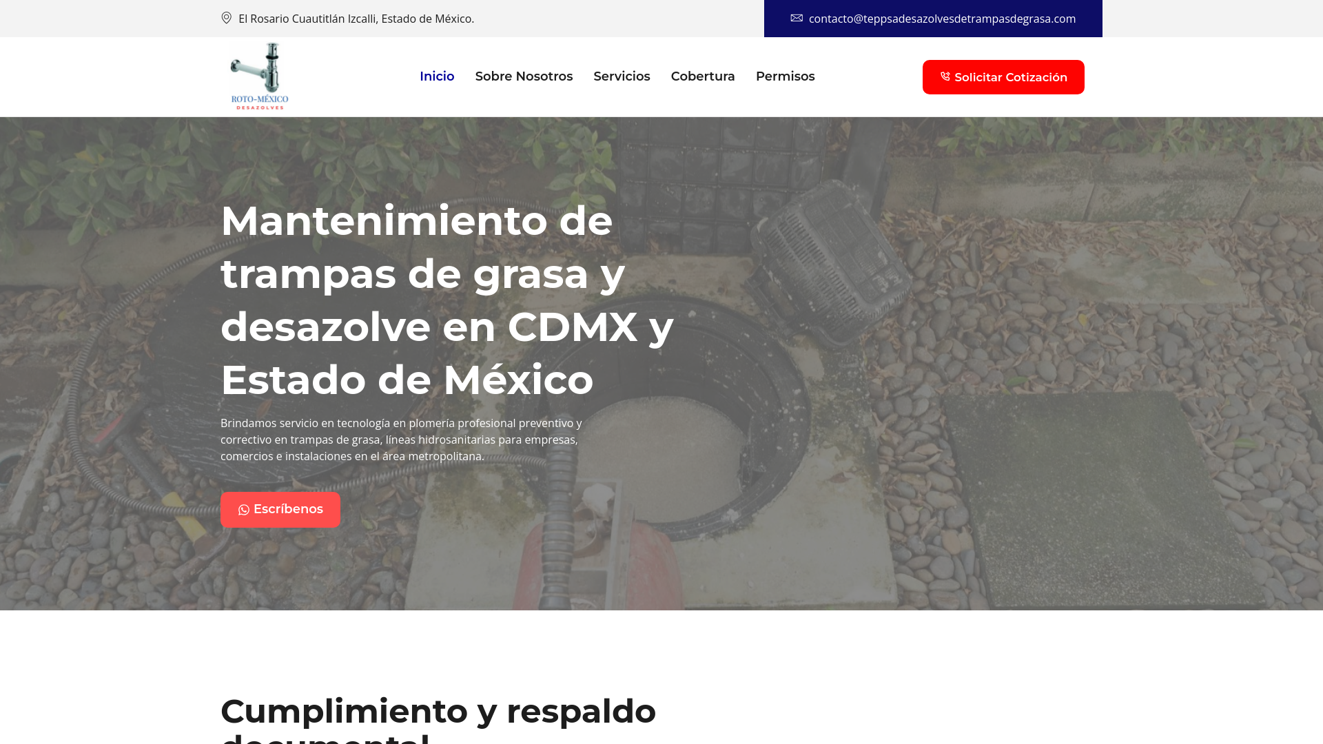 website screenshot of https://teppsadesazolvesdetrampasdegrasa.com