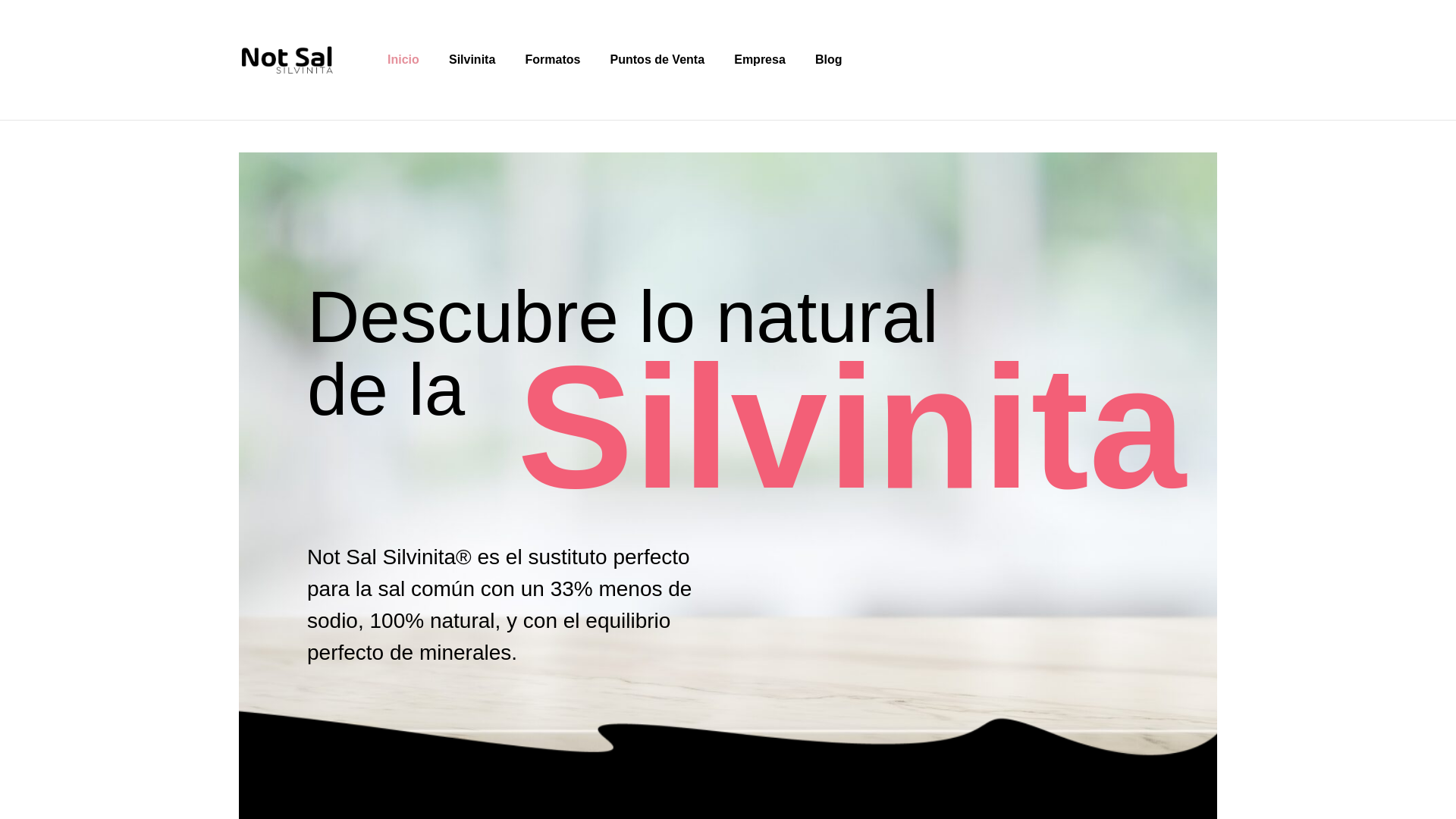 website screenshot of https://silvinita.cl/