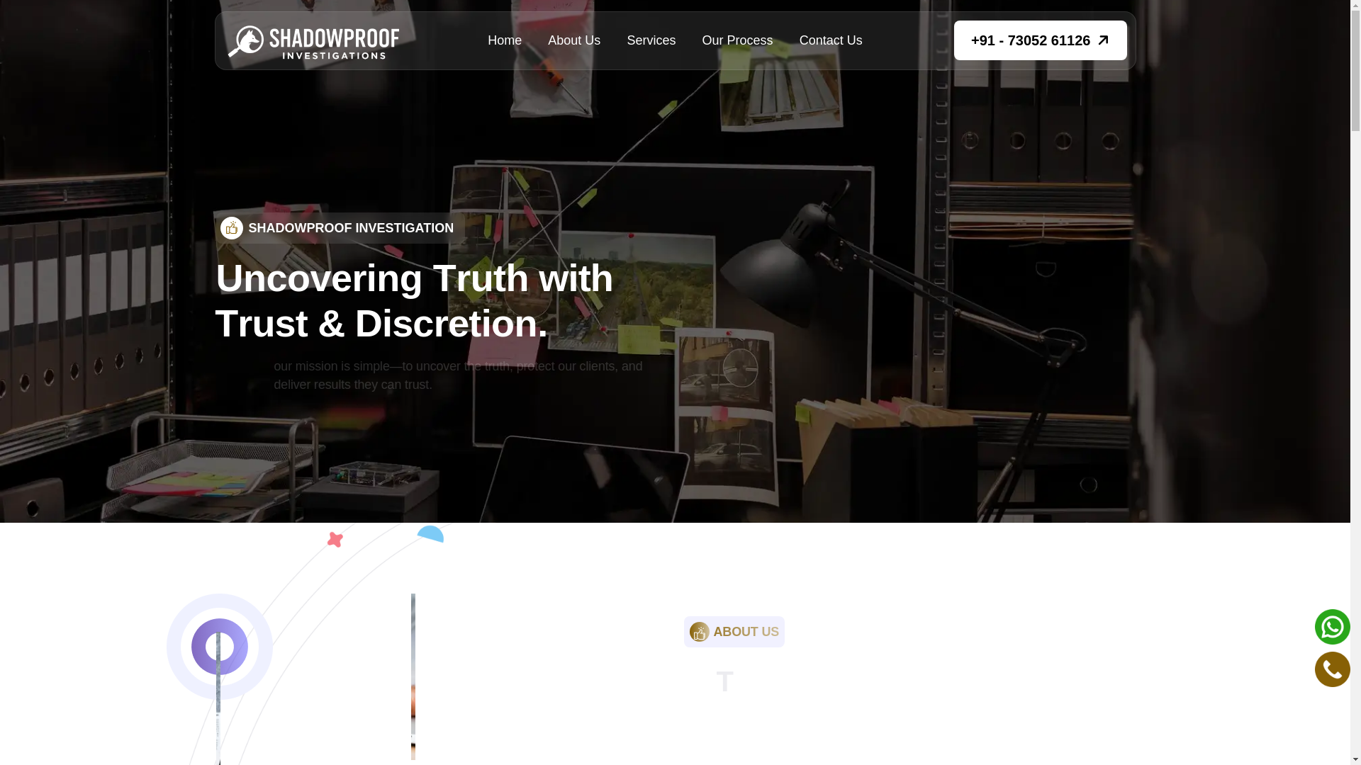 website screenshot of https://shadowproofinvestigation.com/