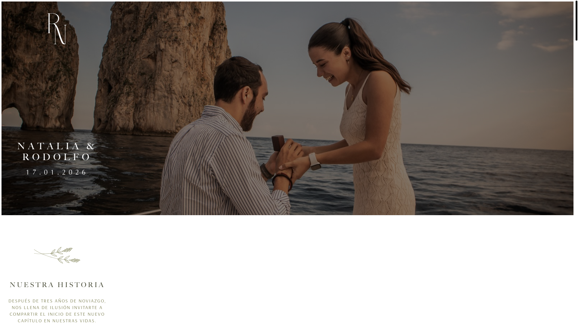 website screenshot of https://nataliayrodolfo.com/