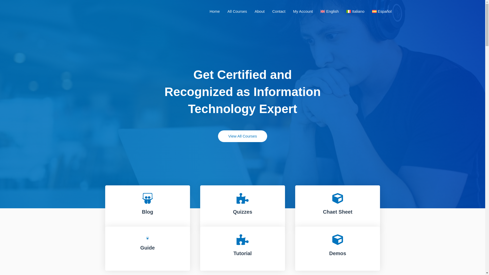 website screenshot of https://examguru.it/