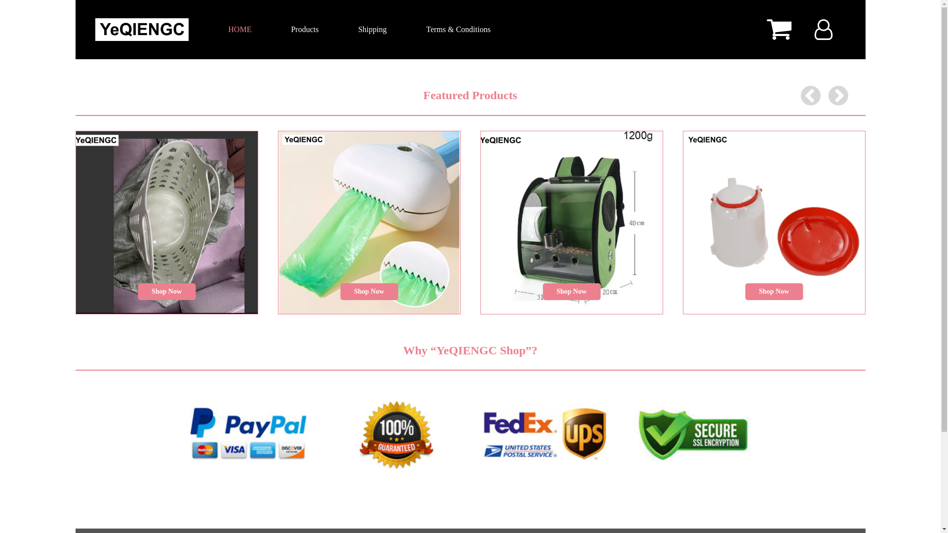website screenshot of https://yeqiengc-product.xyz/