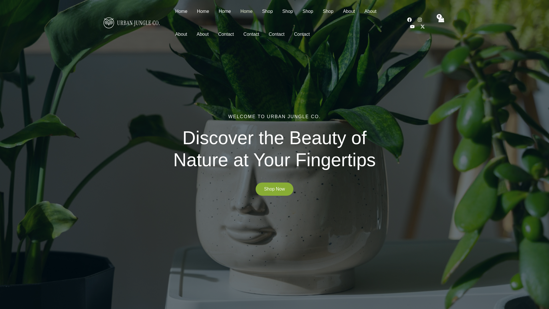 website screenshot of https://amaterfanshop.com