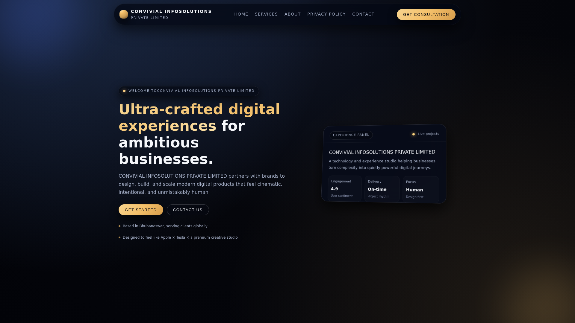 website screenshot of https://convivialinfosolutionsprivatelimited.shop/