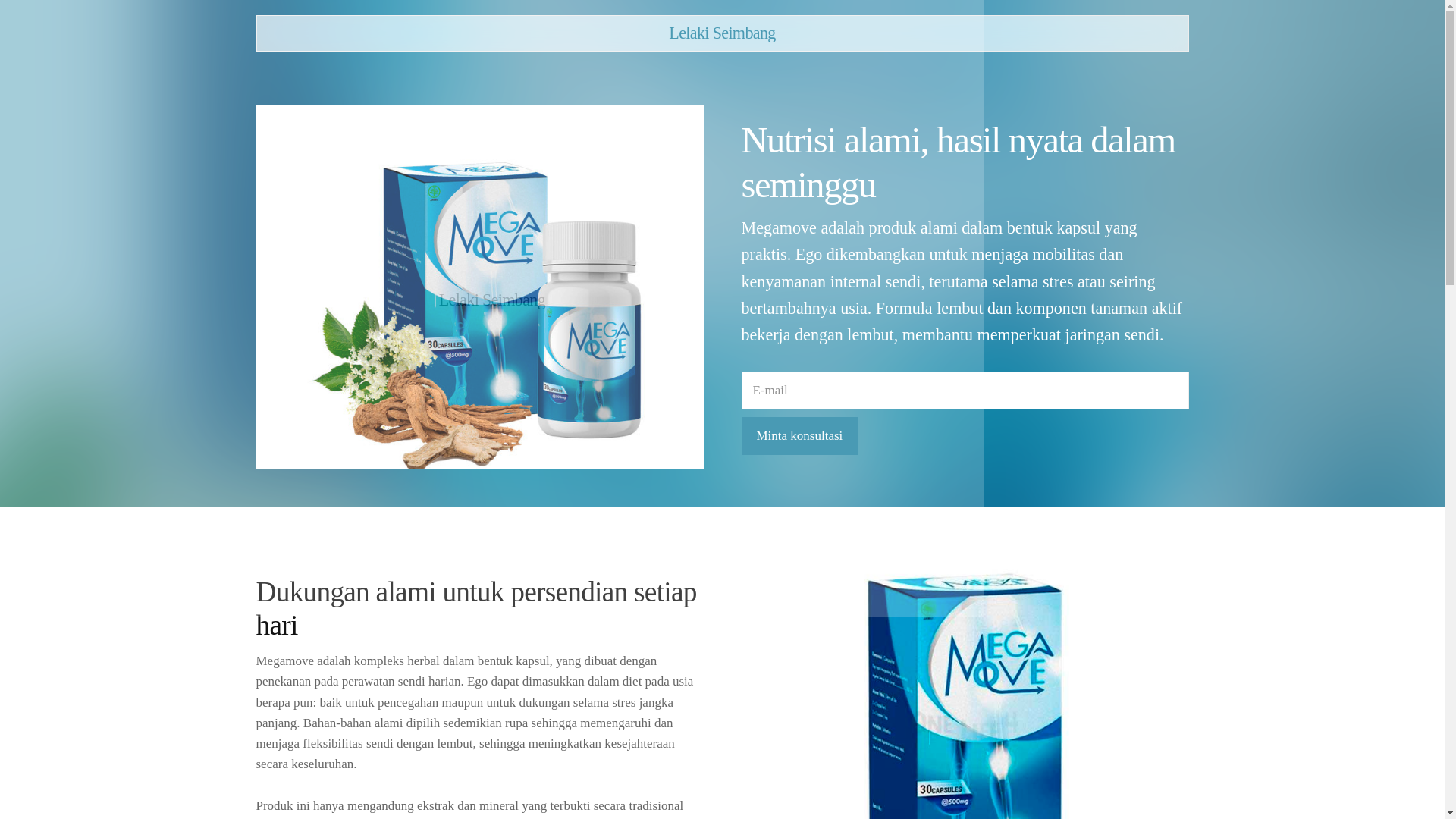 website screenshot of https://lelakiseimbang.info/