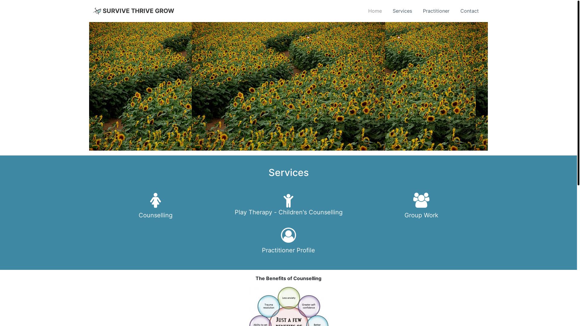 website screenshot of https://survivethrivegrow.online/
