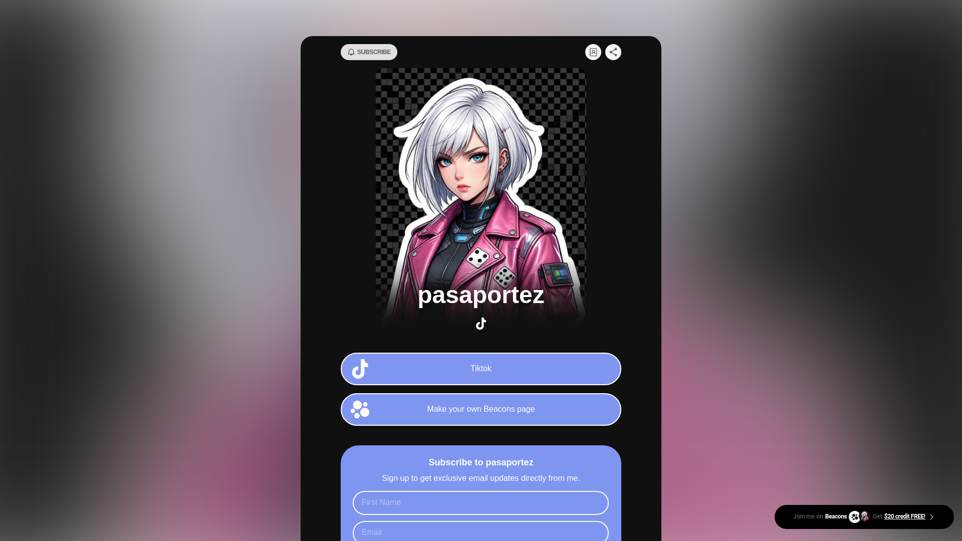 website screenshot of https://pasaportez.store/