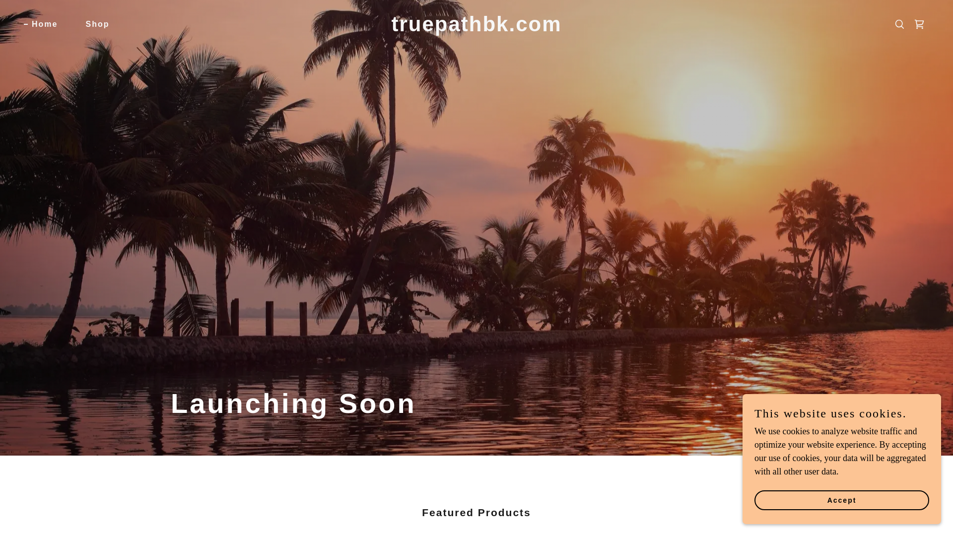 website screenshot of https://truepathbk.com/