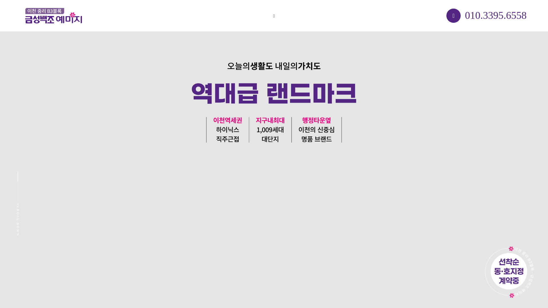 website screenshot of https://icheon-yemizi-vip.co.kr/
