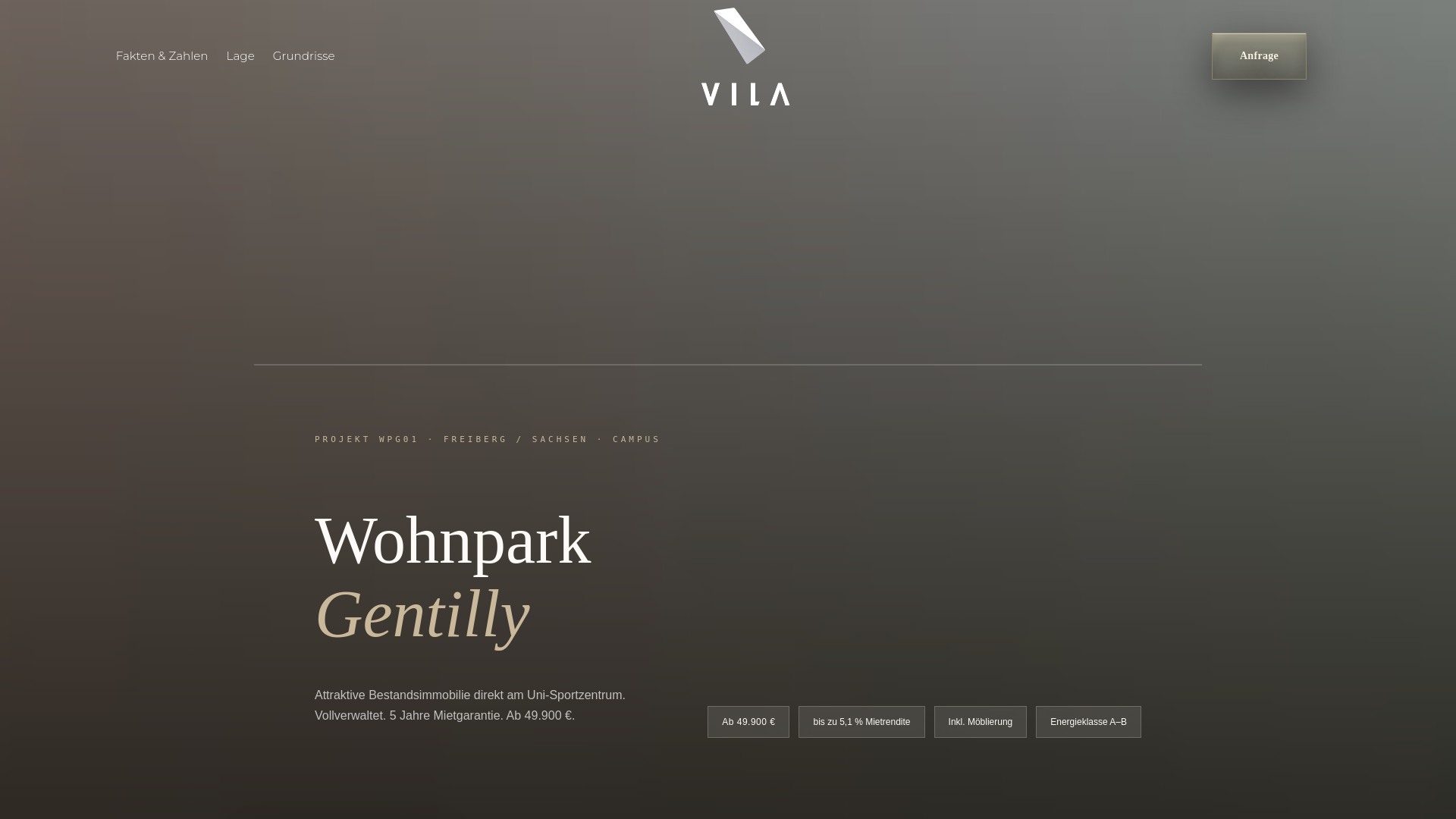 website screenshot of https://vila-investment-invest.de