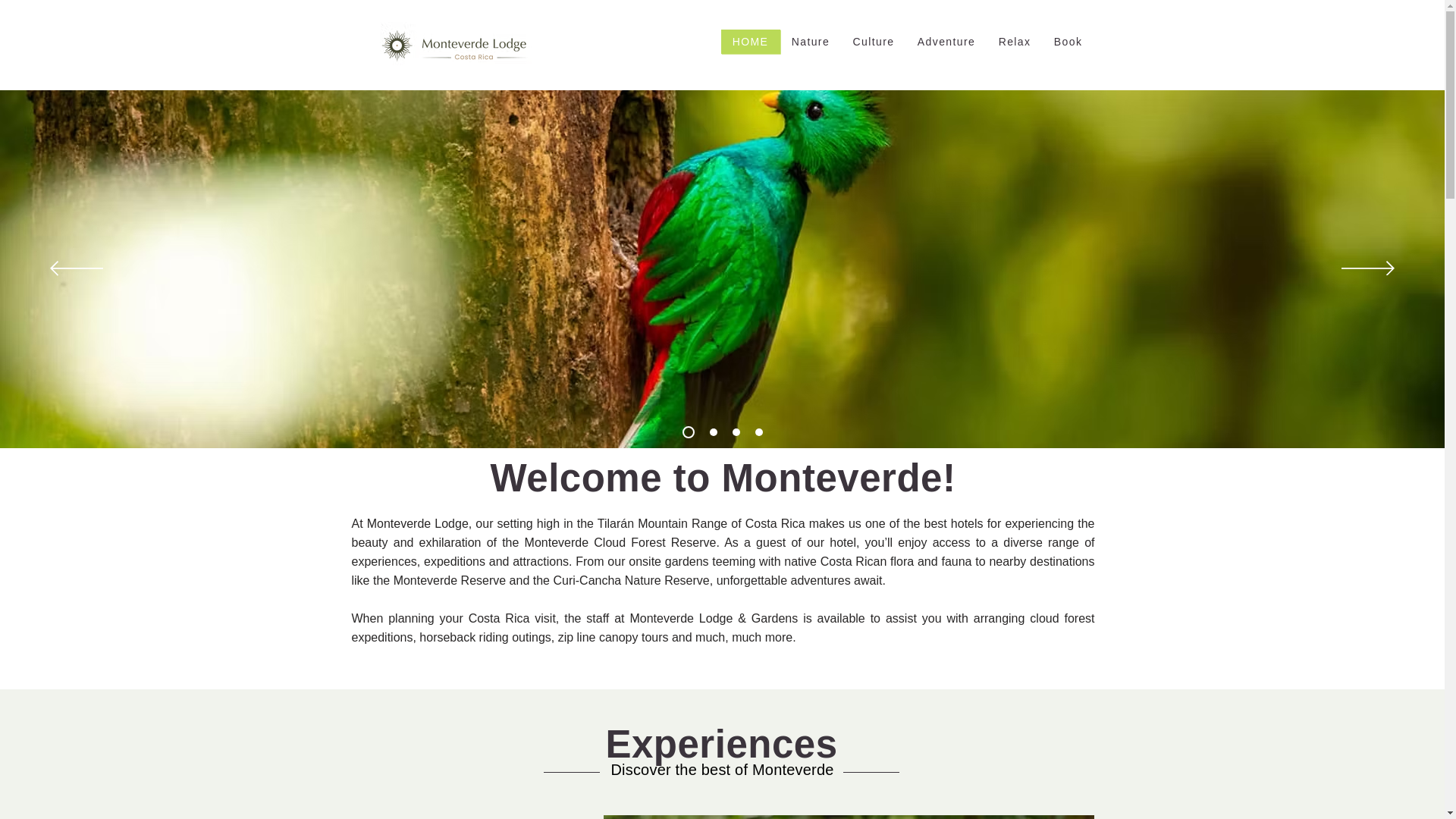 website screenshot of https://monteverdelodge.info/