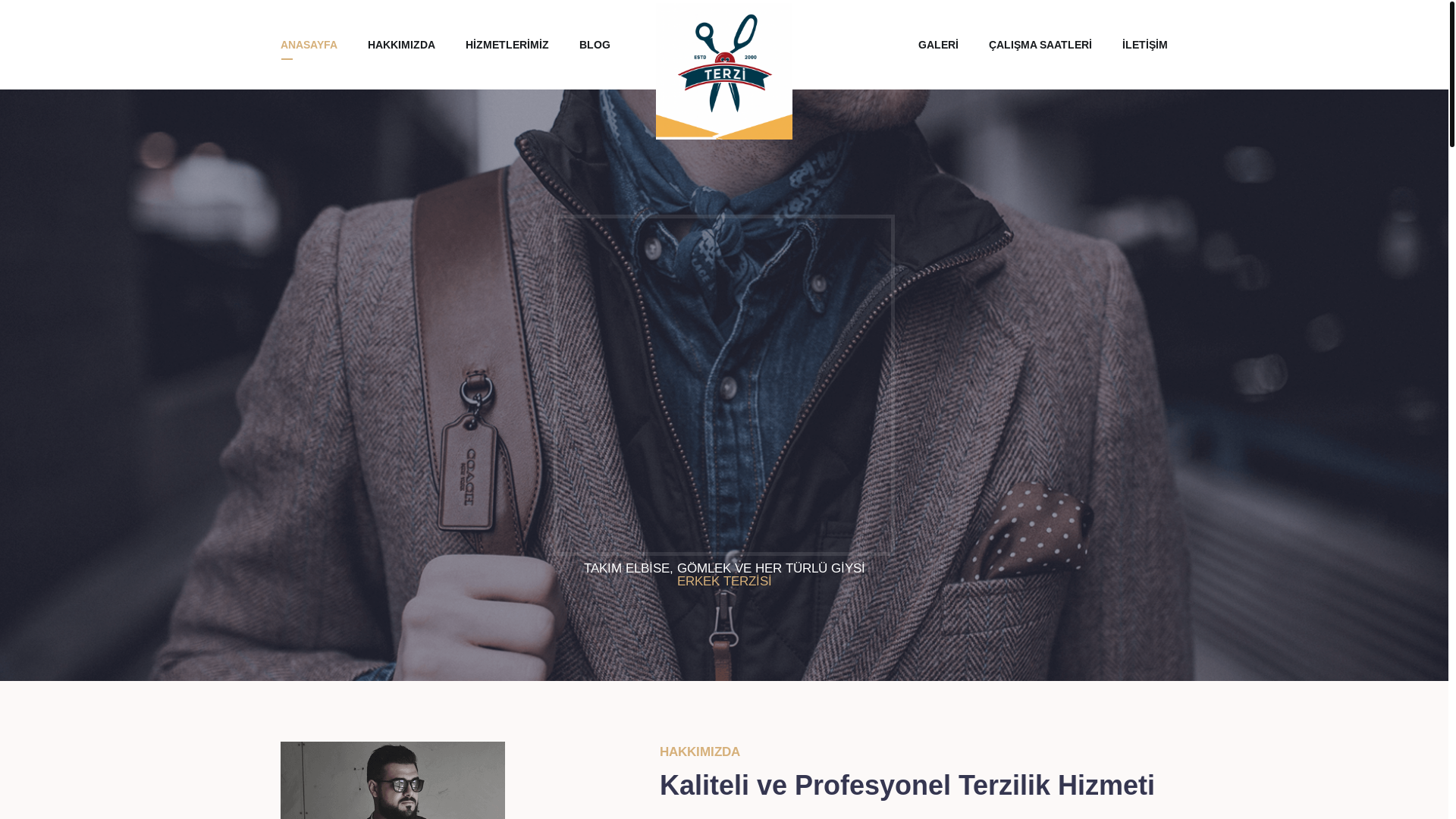 website screenshot of https://terziibrahim.com/