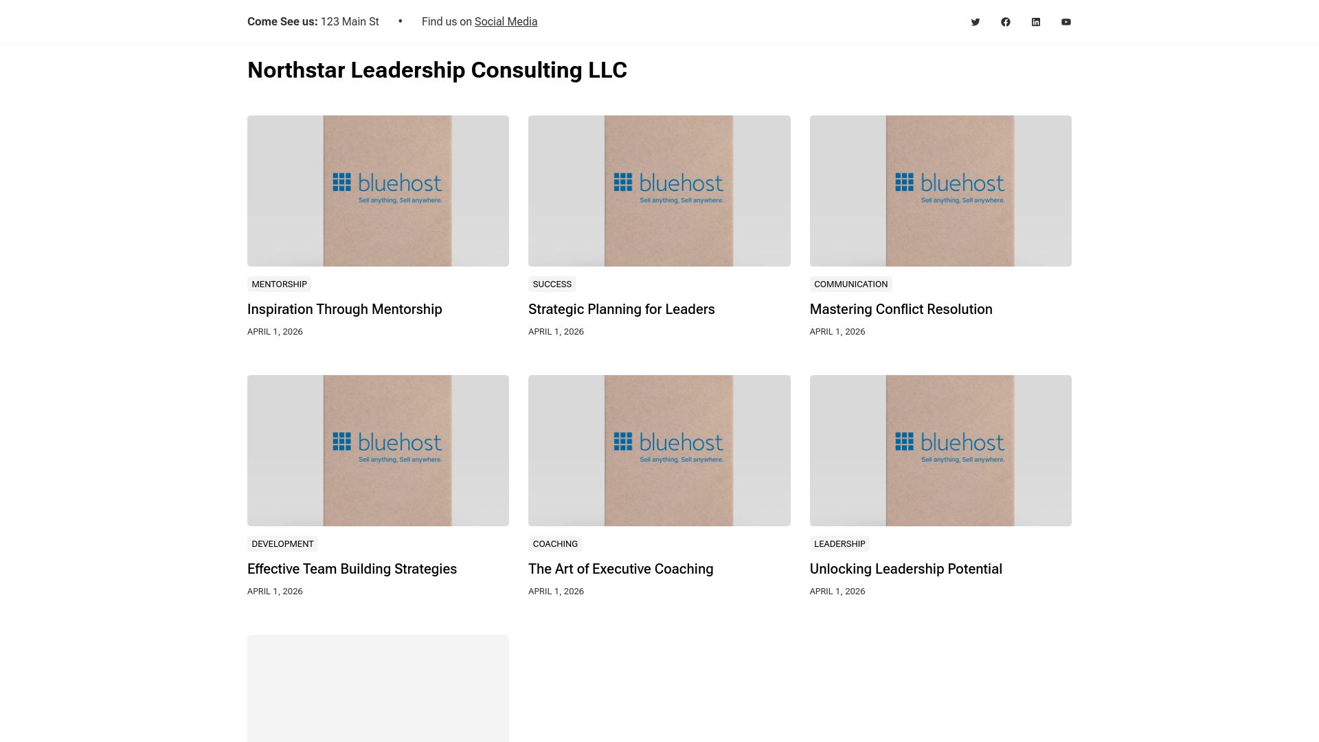 website screenshot of https://nsleaders.online/