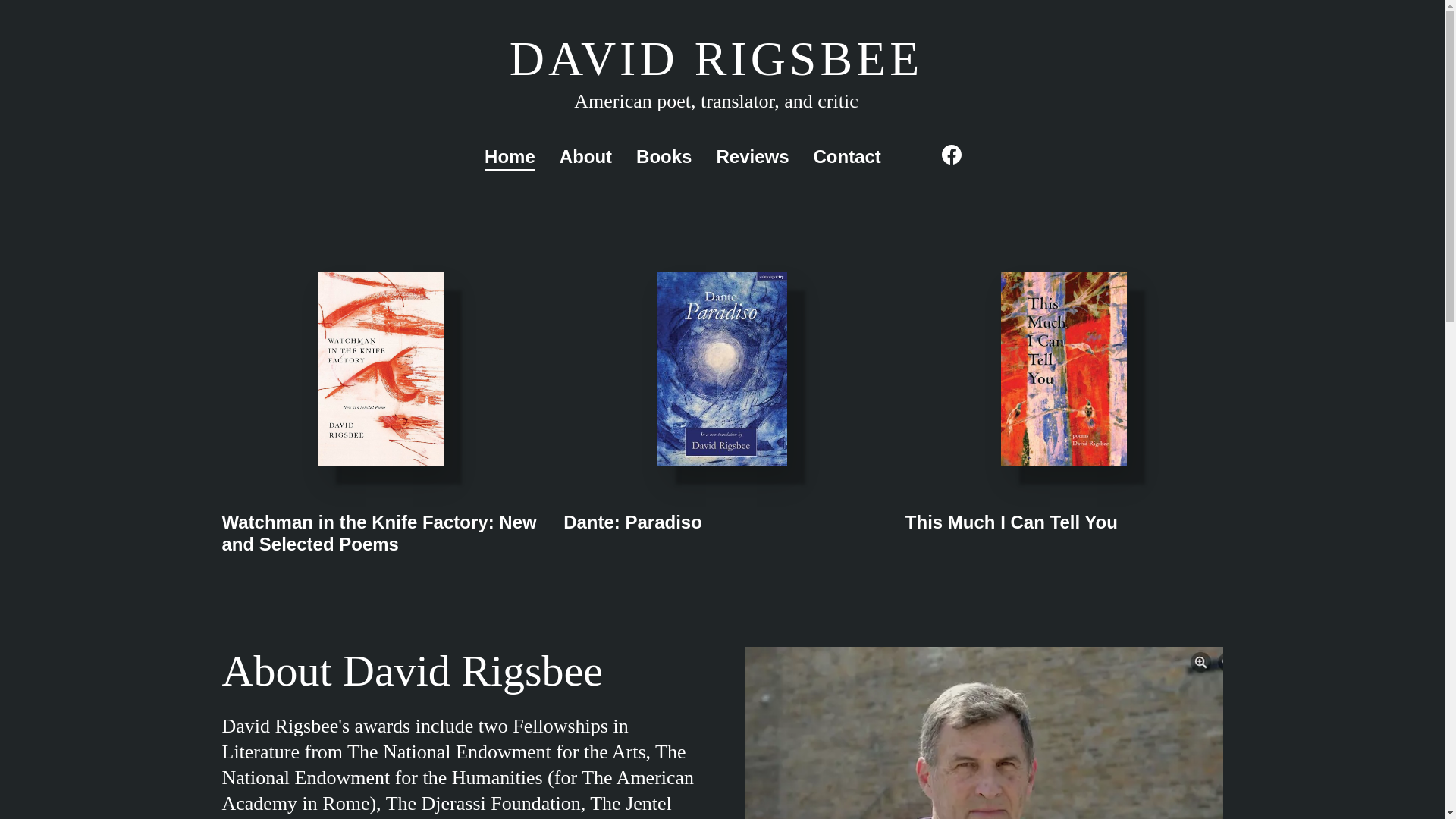 website screenshot of https://davidrigsbee.com/