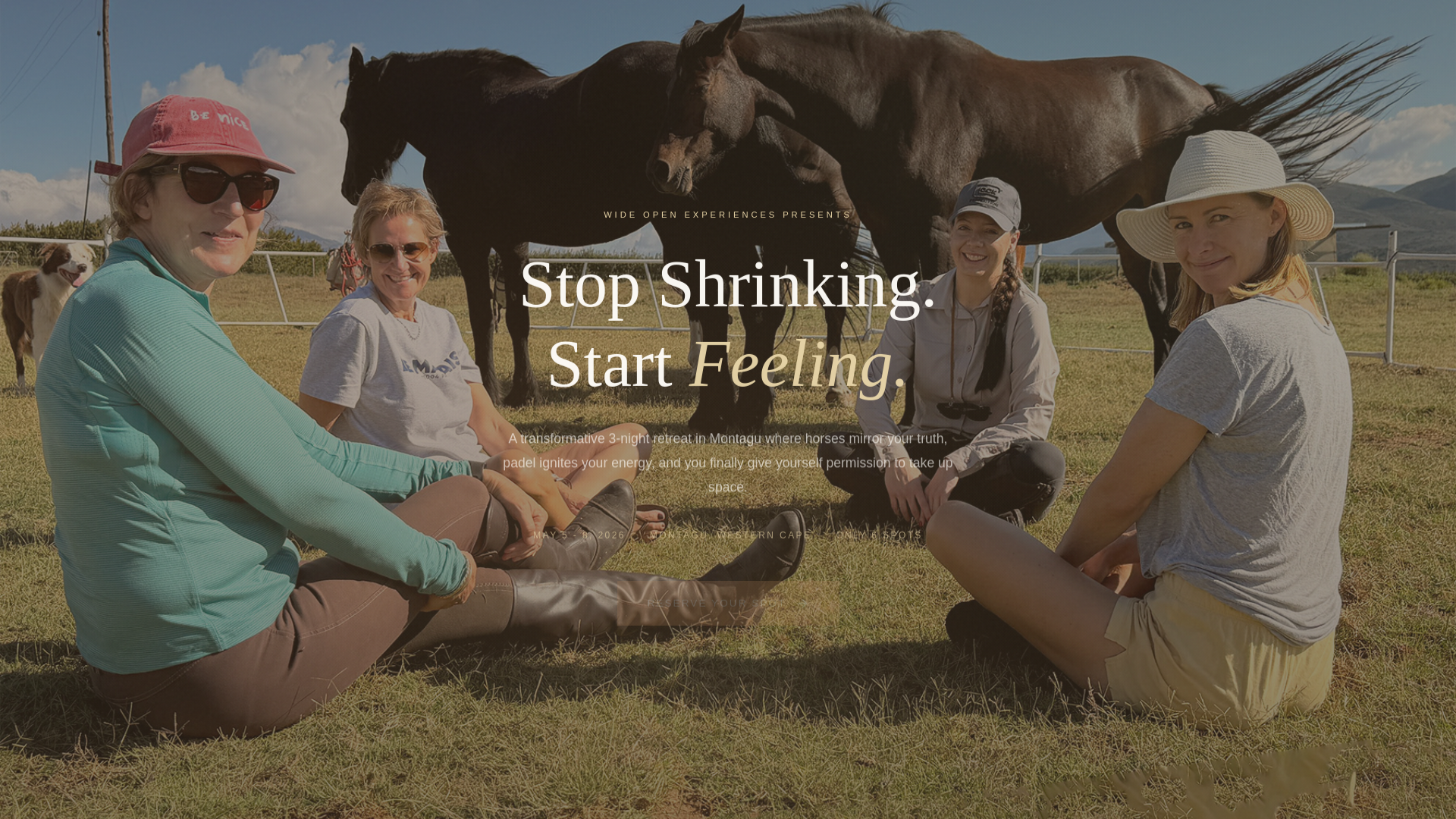 website screenshot of https://wide-open-experiences.pages.dev/