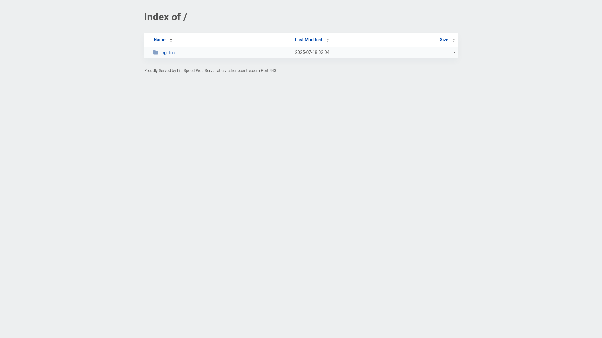 website screenshot of https://civicdronecentre.com/