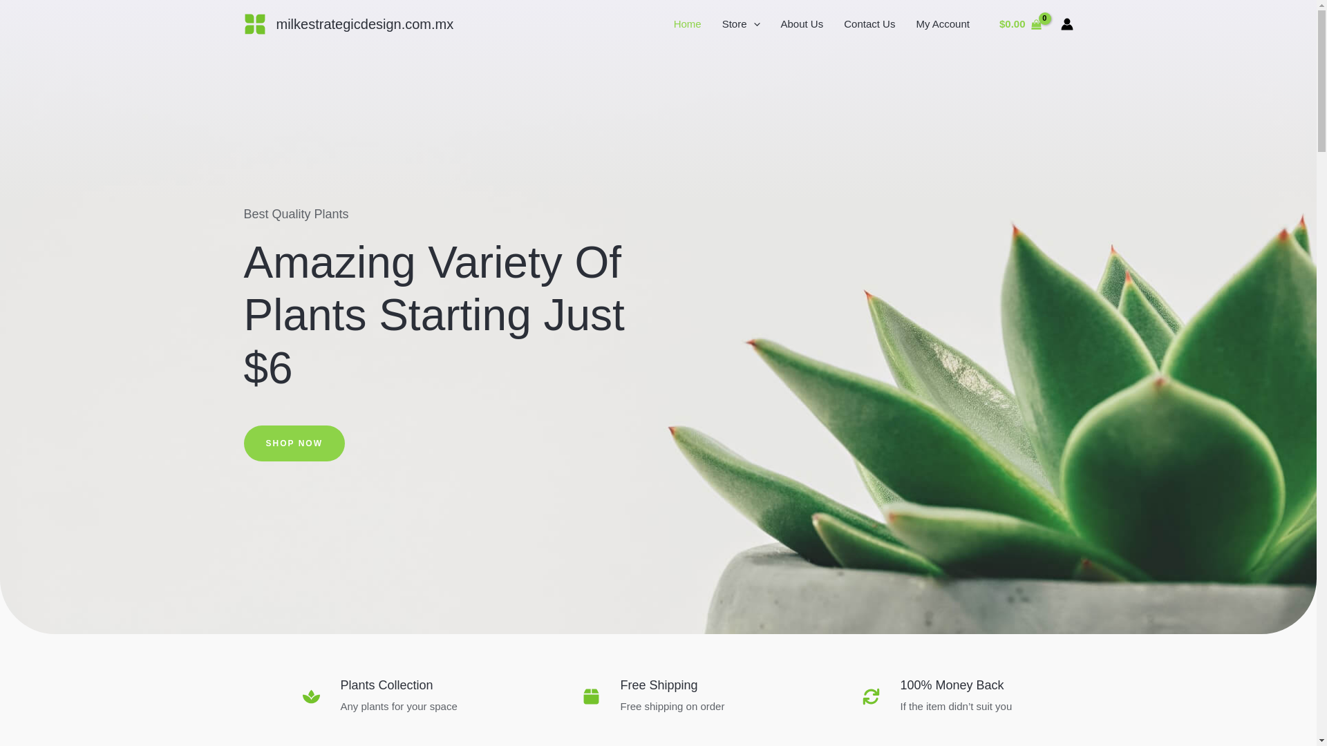 website screenshot of https://milkestrategicdesign.com.mx/