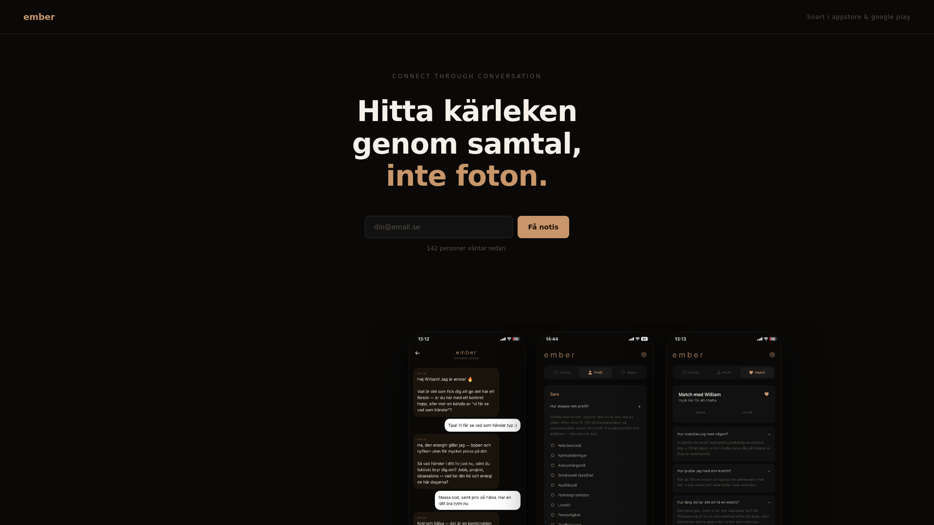 website screenshot of https://connectwithember.se