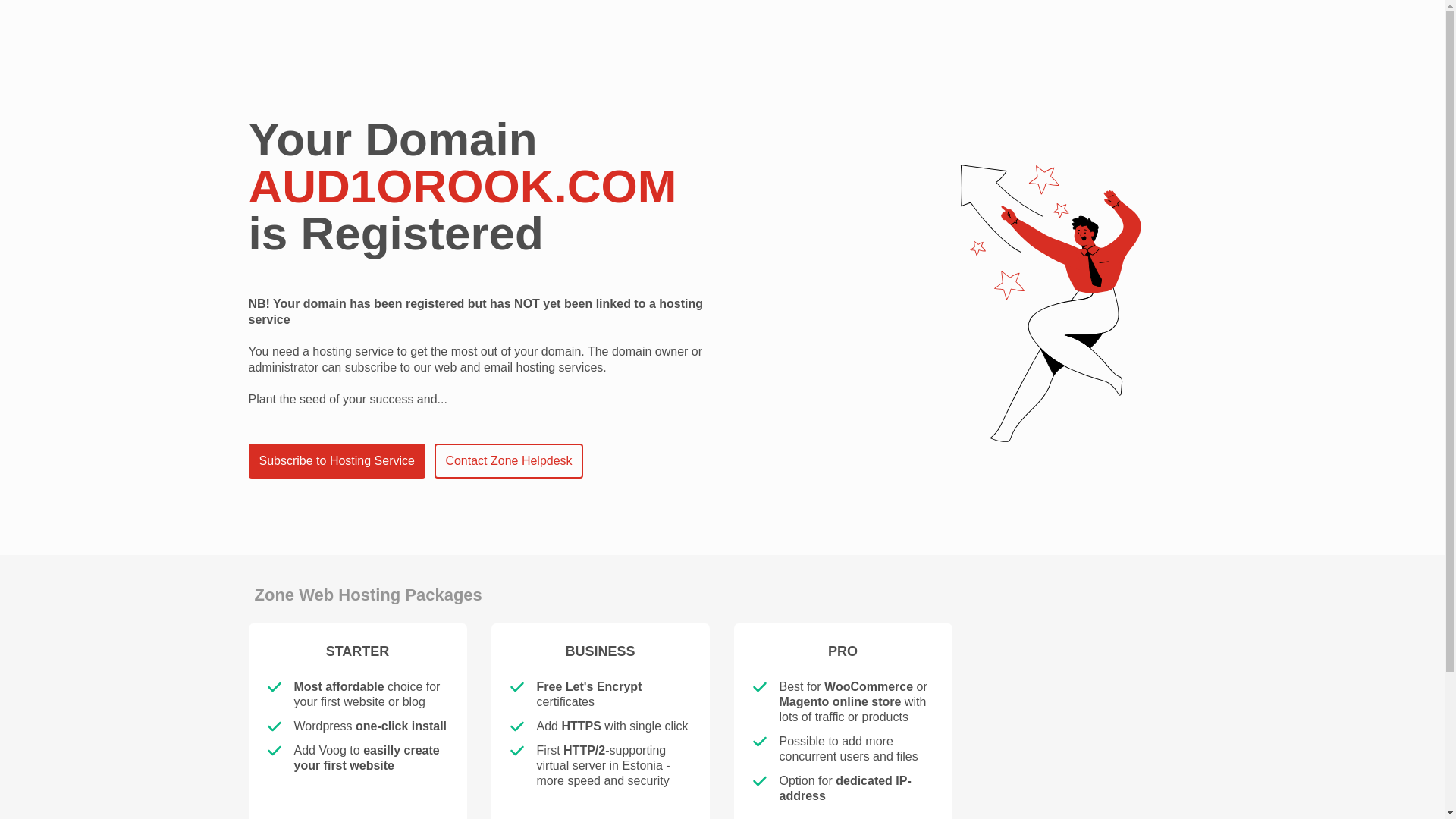 website screenshot of https://aud1orook.com/