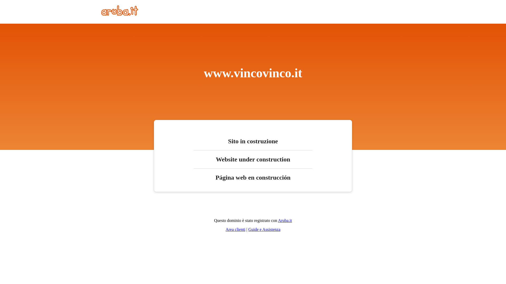 website screenshot of https://vincovinco.it/
