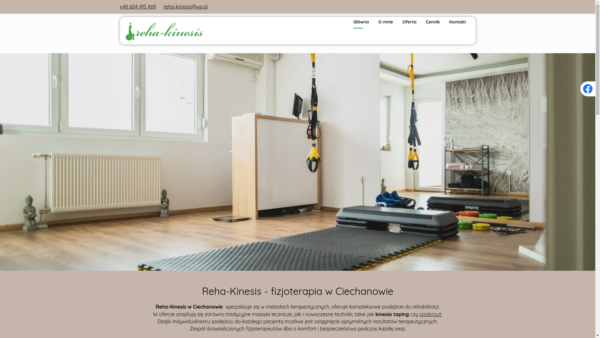 website screenshot of https://reha-kinesis.com.pl/