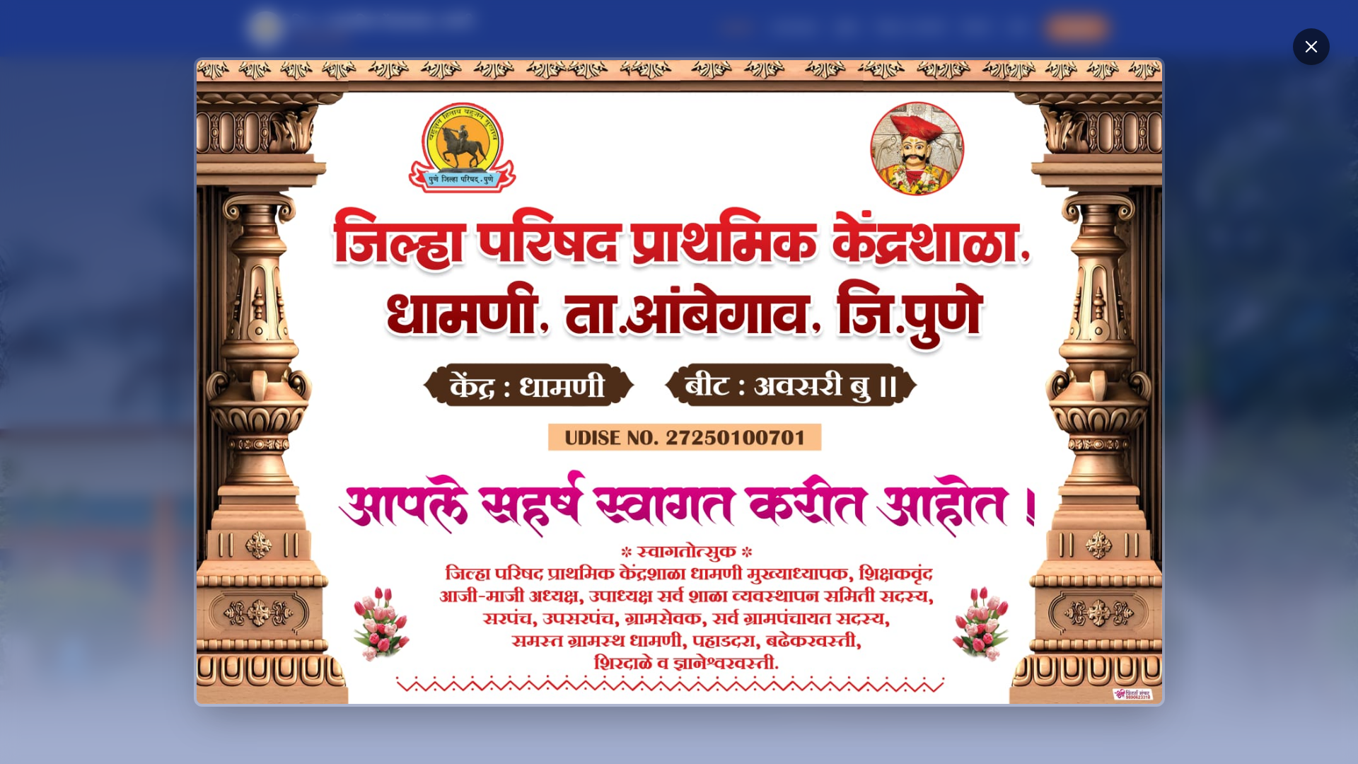 website screenshot of https://zppsdhamani.in/