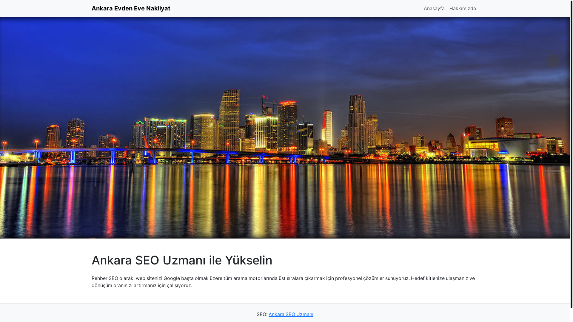 website screenshot of https://ankaraevdenevenakliyatfirmalari.com.tr/