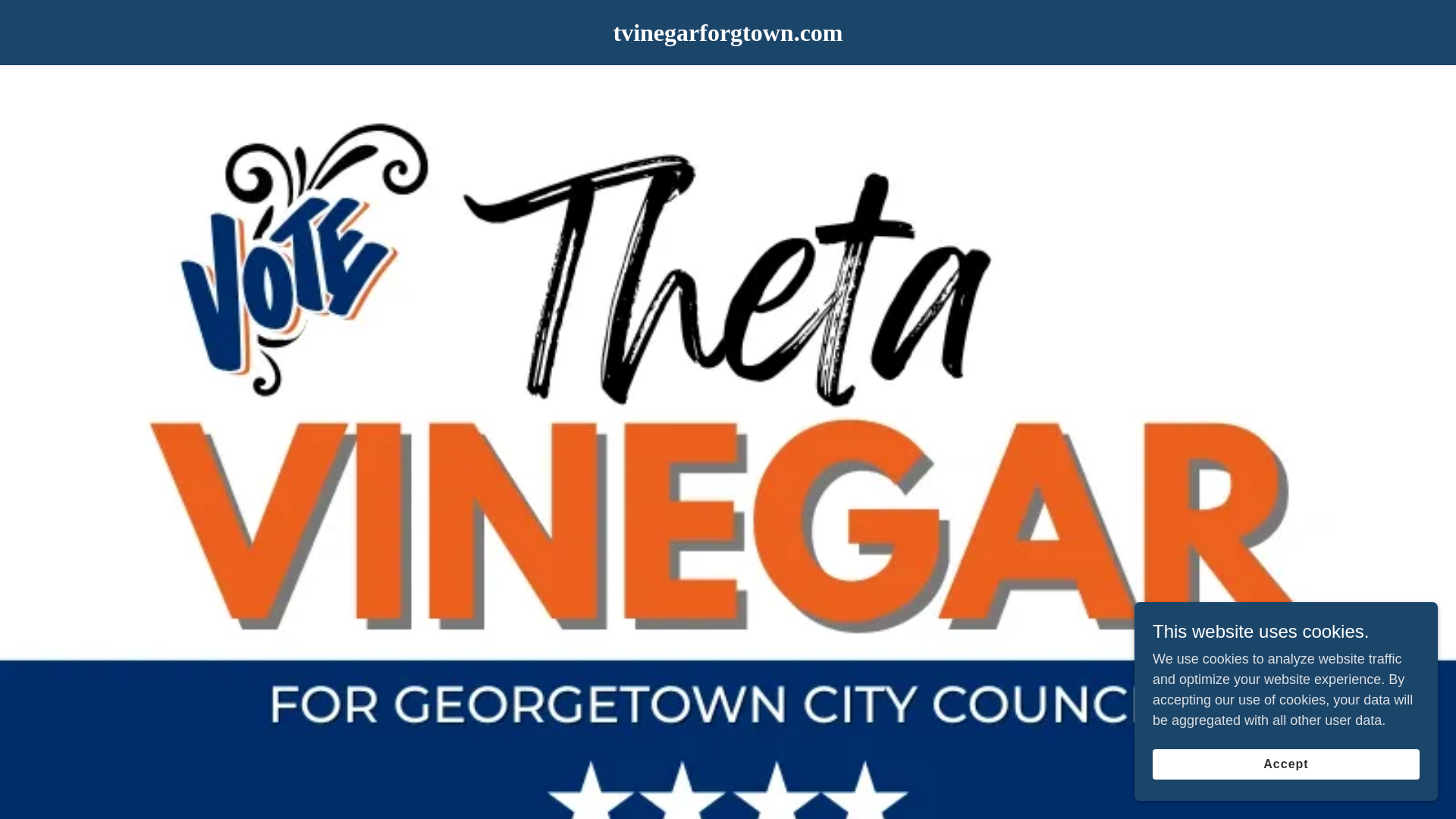 website screenshot of https://tvinegarforgtown.com/