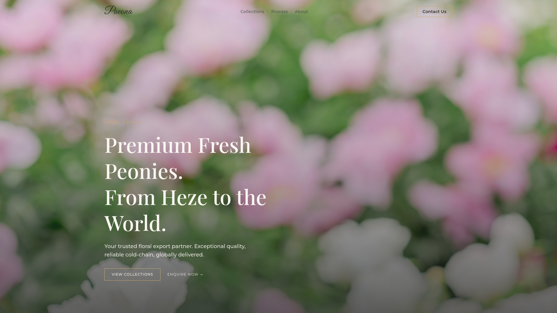 website screenshot of https://paeona.com/
