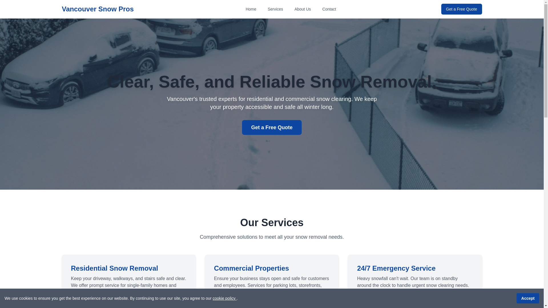 website screenshot of https://vancouversnowpros.info/