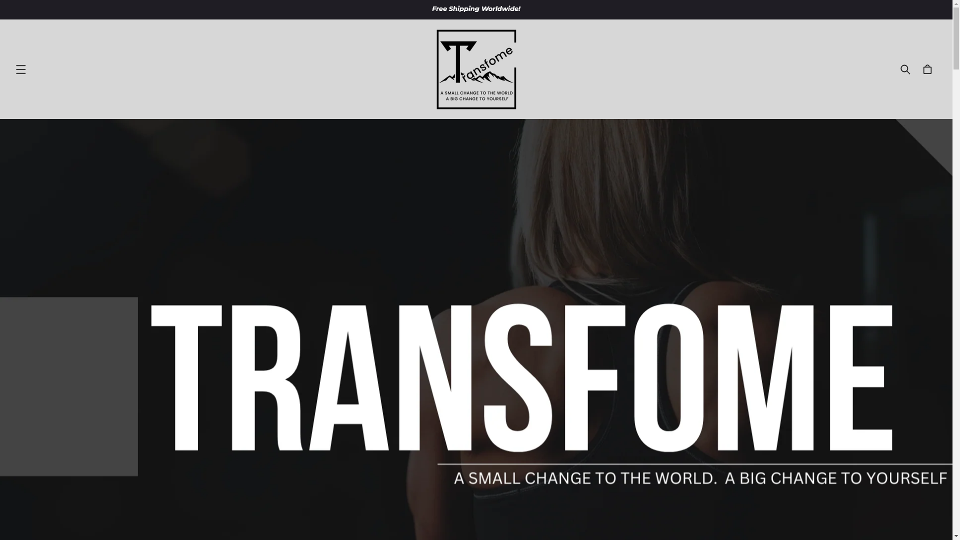 website screenshot of https://transfomellcstore.com/