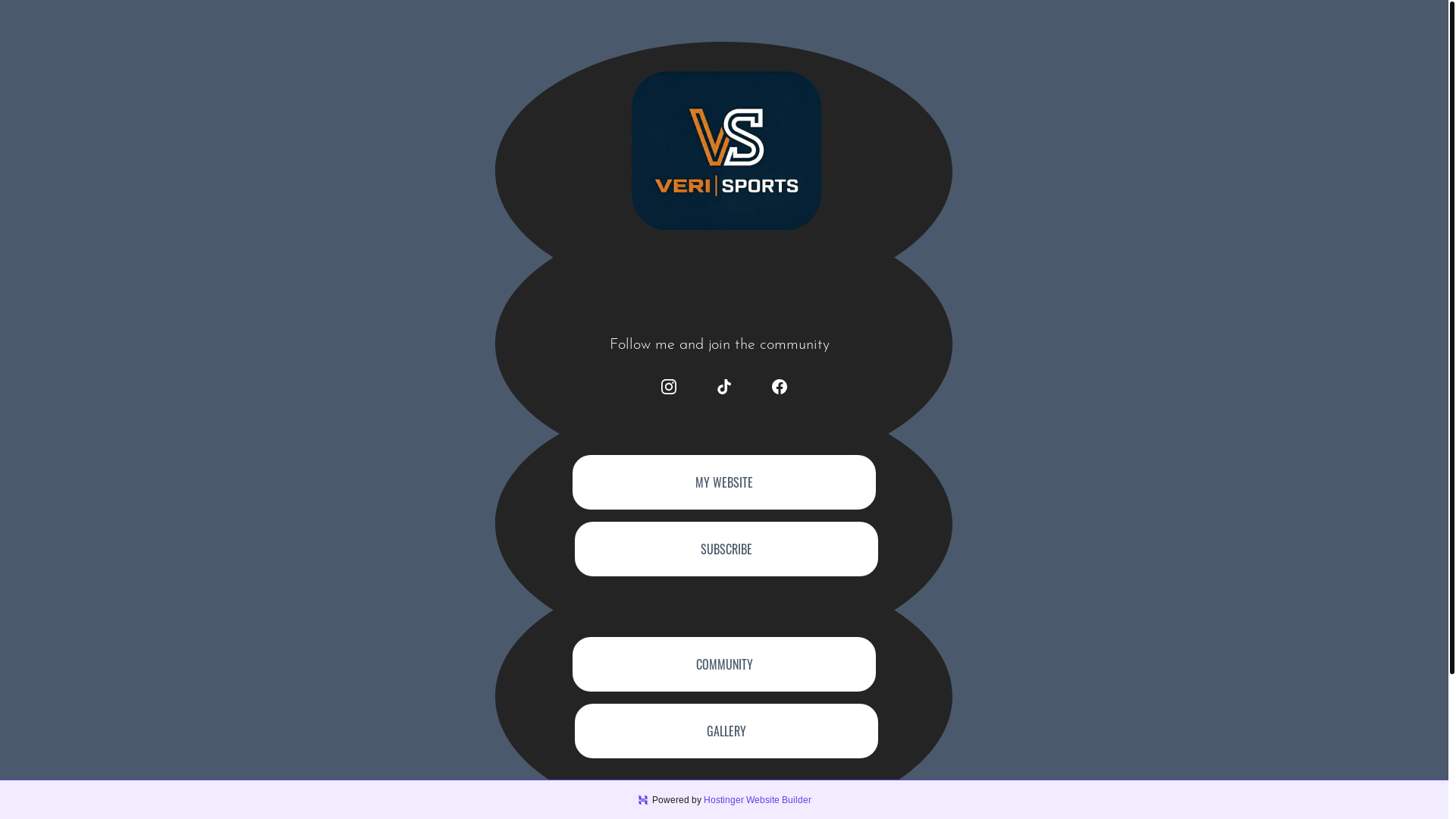 website screenshot of https://verisports.store/
