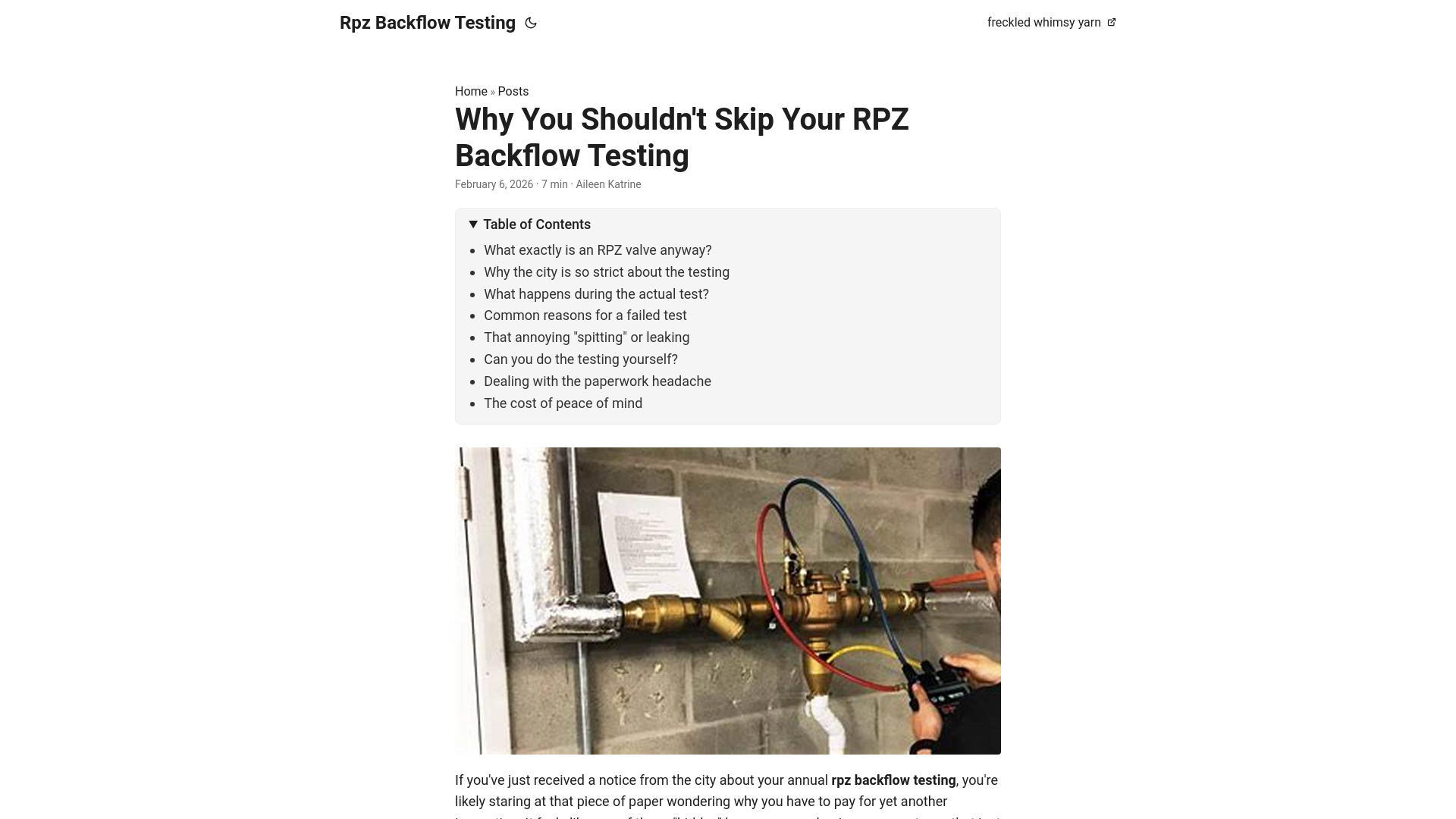website screenshot of https://rpz-backflow-testing.pages.dev/